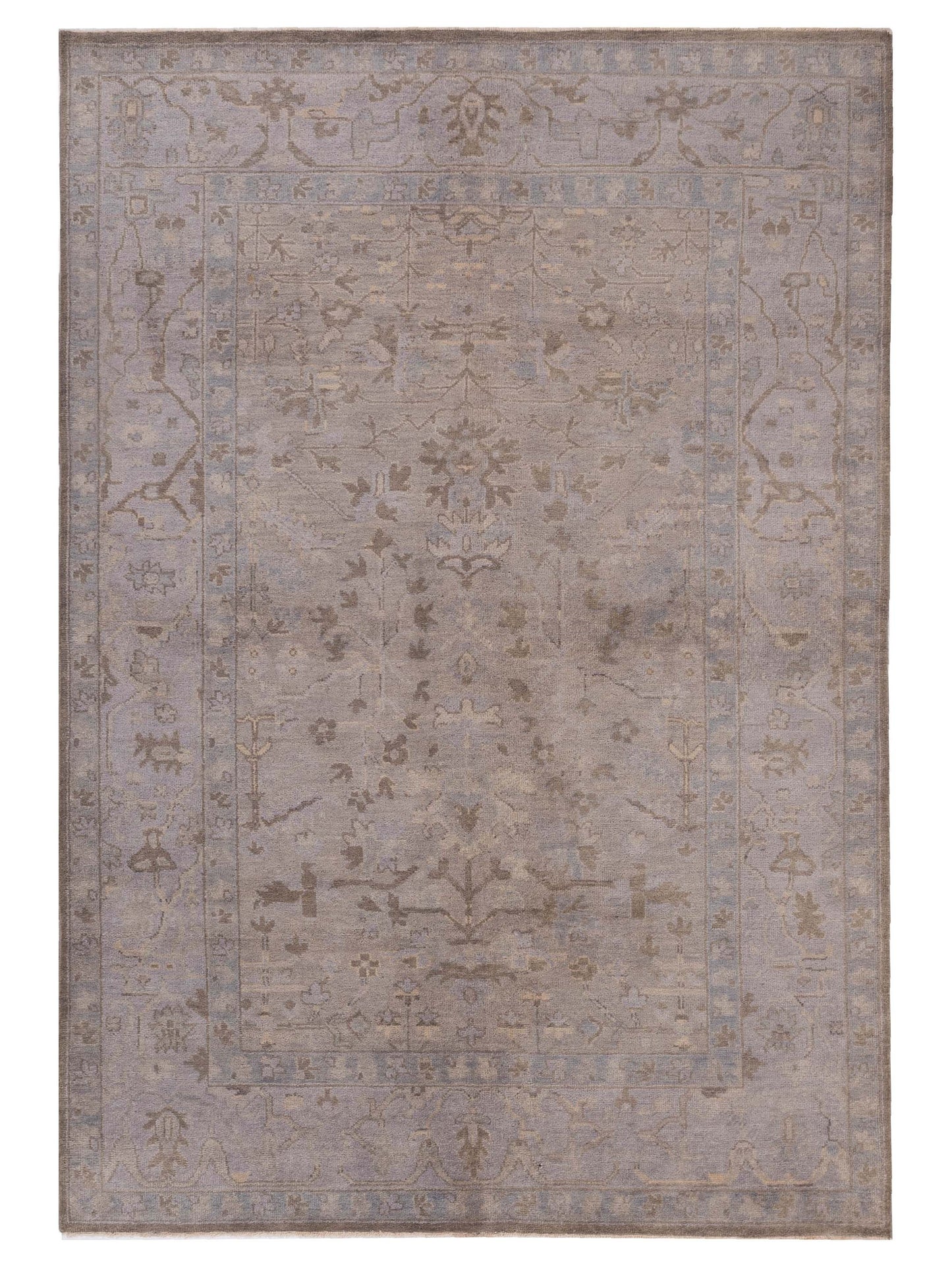 Rajpur Stella  Gray  Transitional