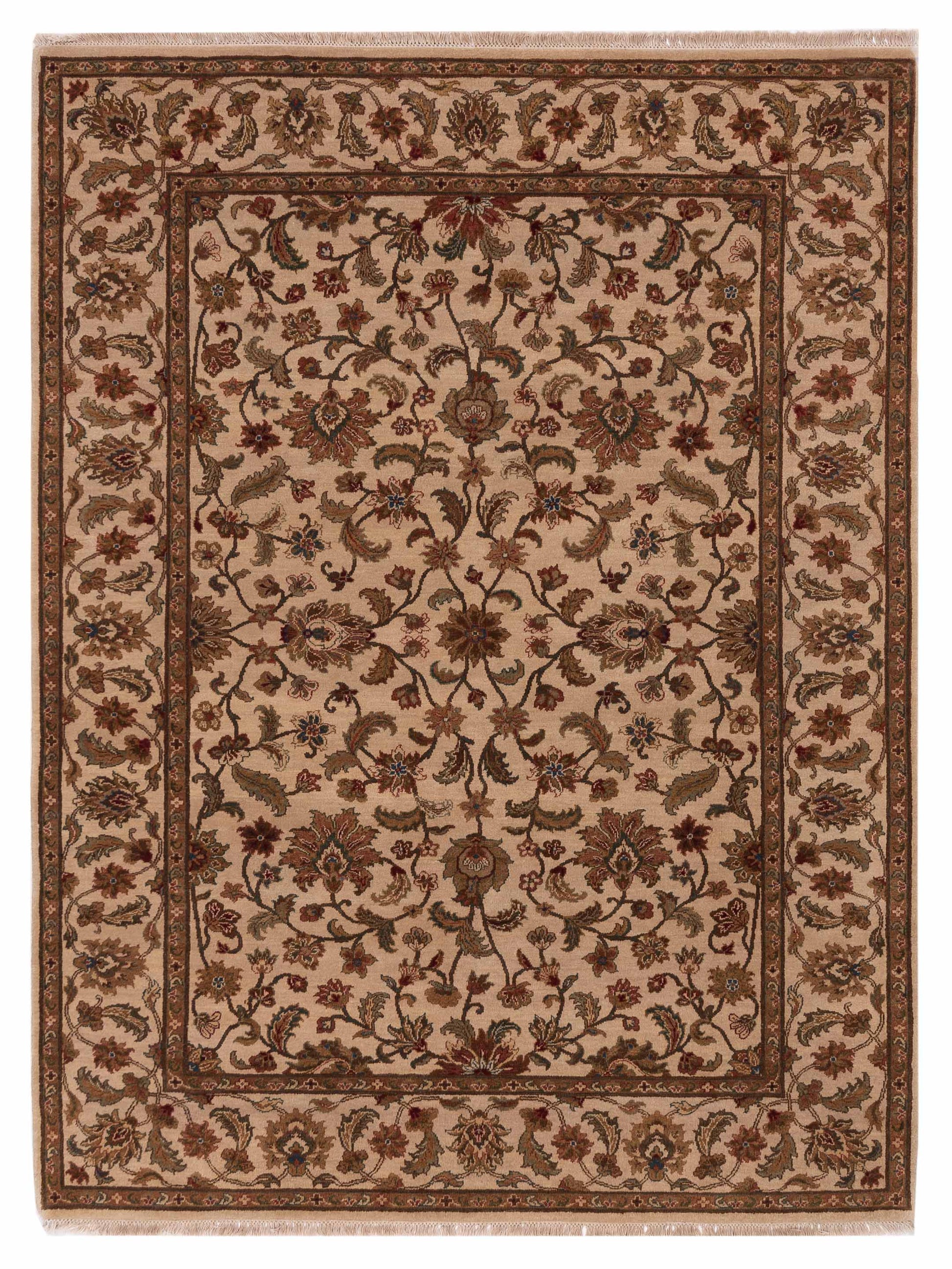Rajpur Crown  Ivory Ivory Transitional