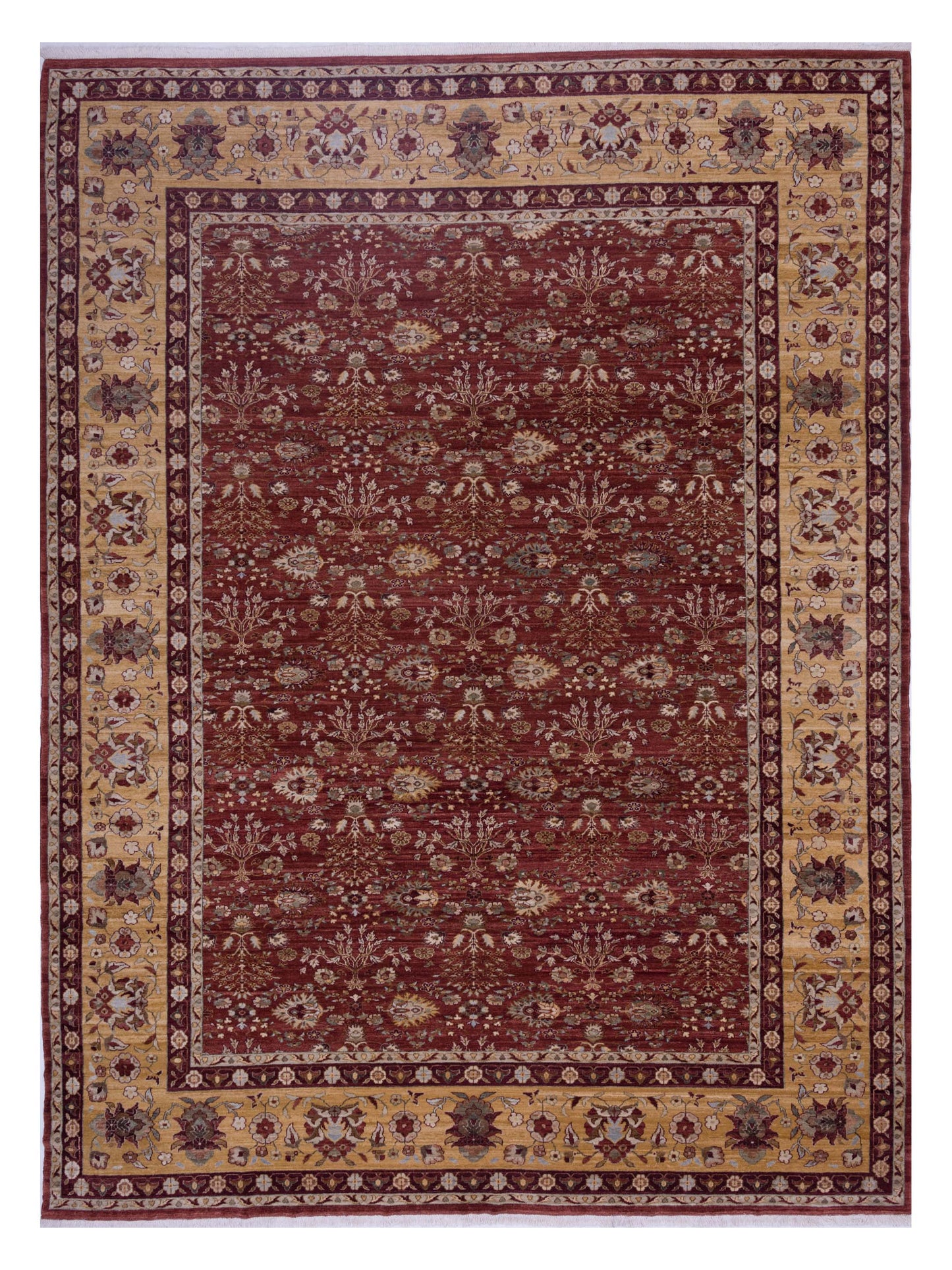 Pasha Narin  Burgundy Gold Traditional