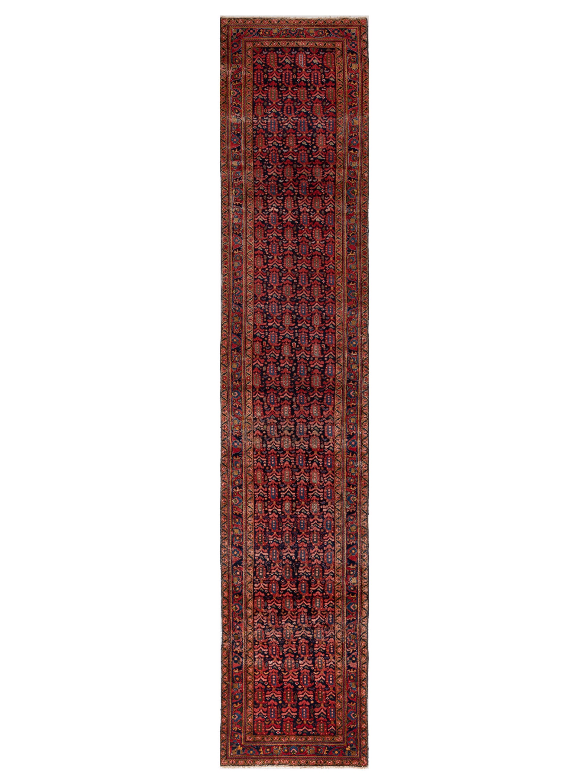 Pasha Persian  Blue Red Transitional