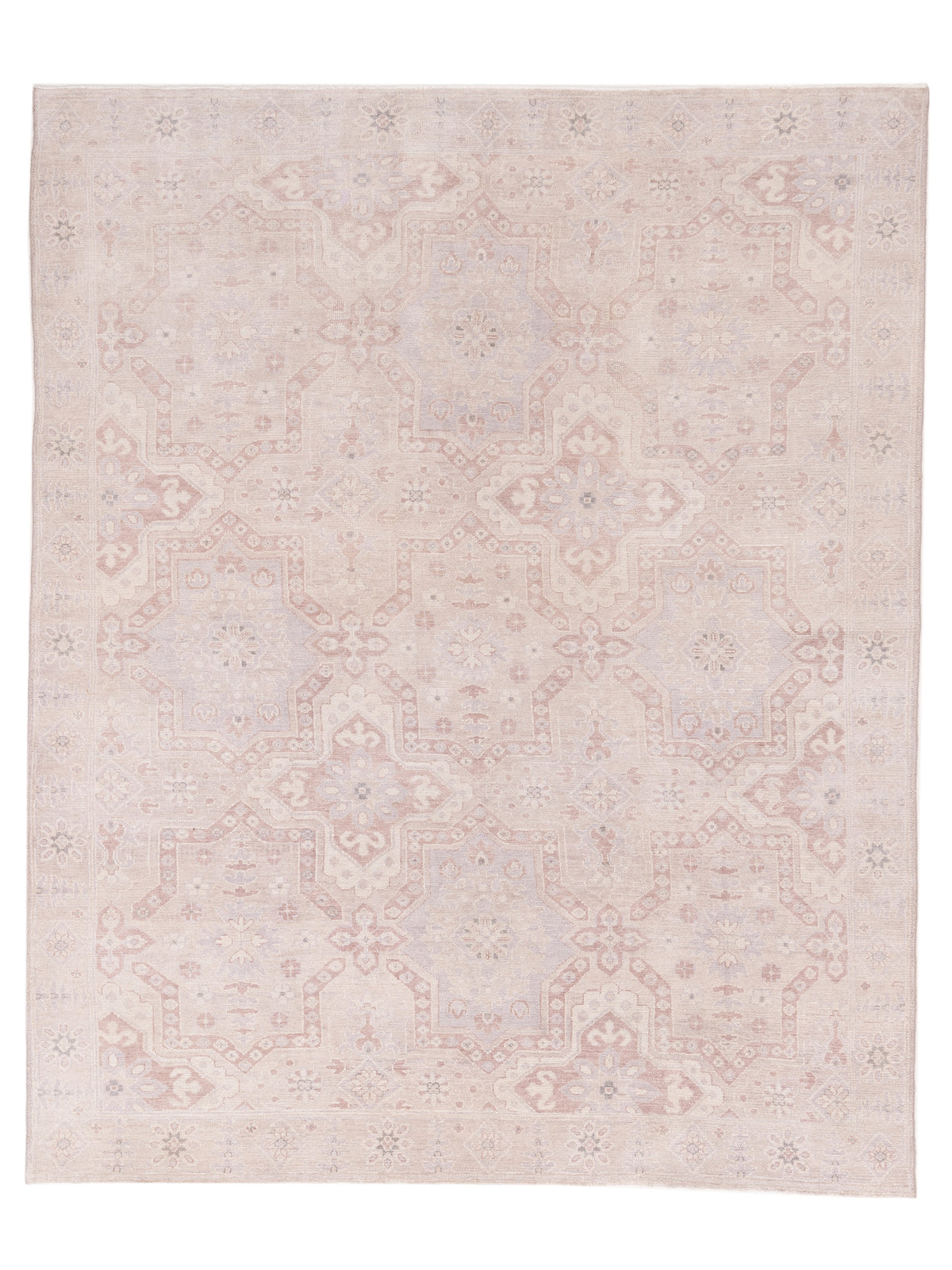 Rajpur Andalusia  Brown  Transitional