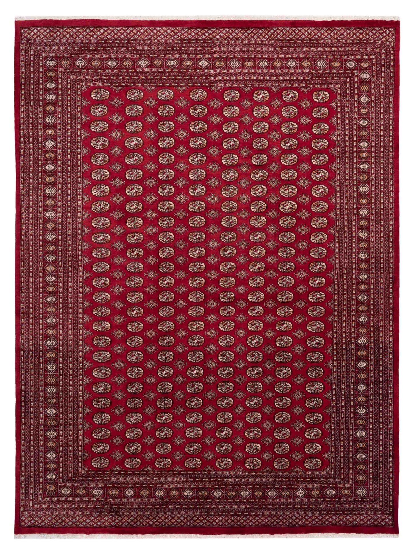 Nomad Bokhara  Red  Traditional