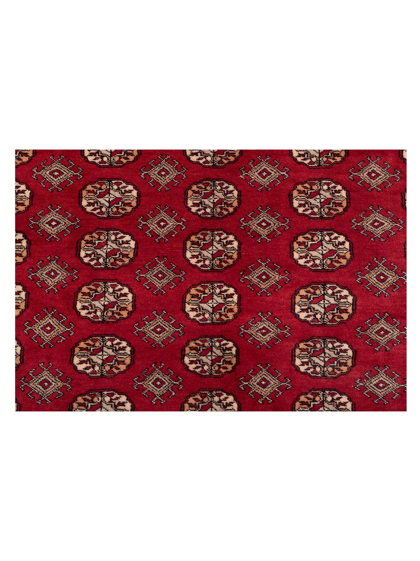 Bokhara 145701 Red 10.1x13.10 Hand Knotted Rug