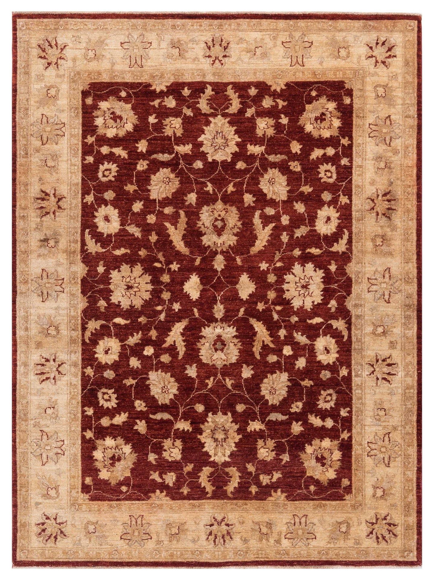 Pasha Sultan  Red Ivory Traditional