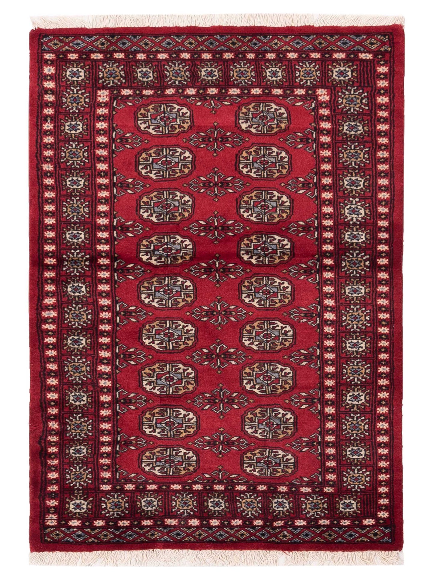 Nomad Bokhara  Red Red Traditional