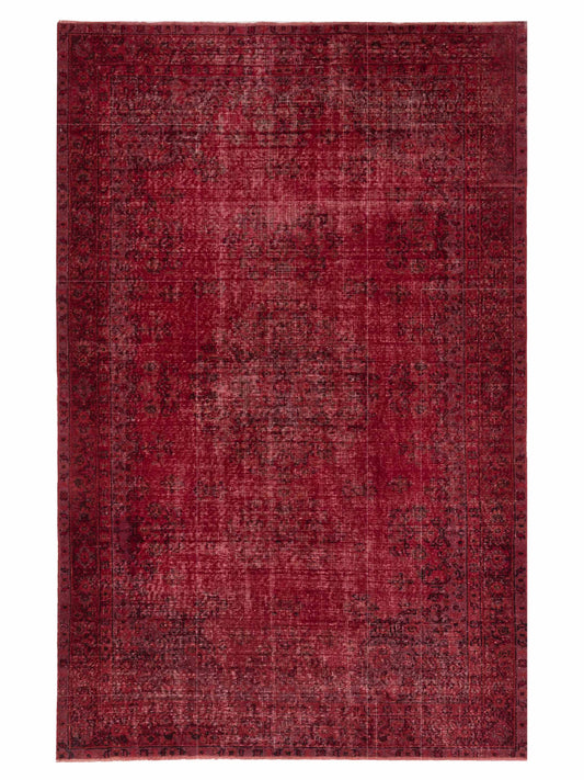 Pasha Vintage  Red  Transitional
