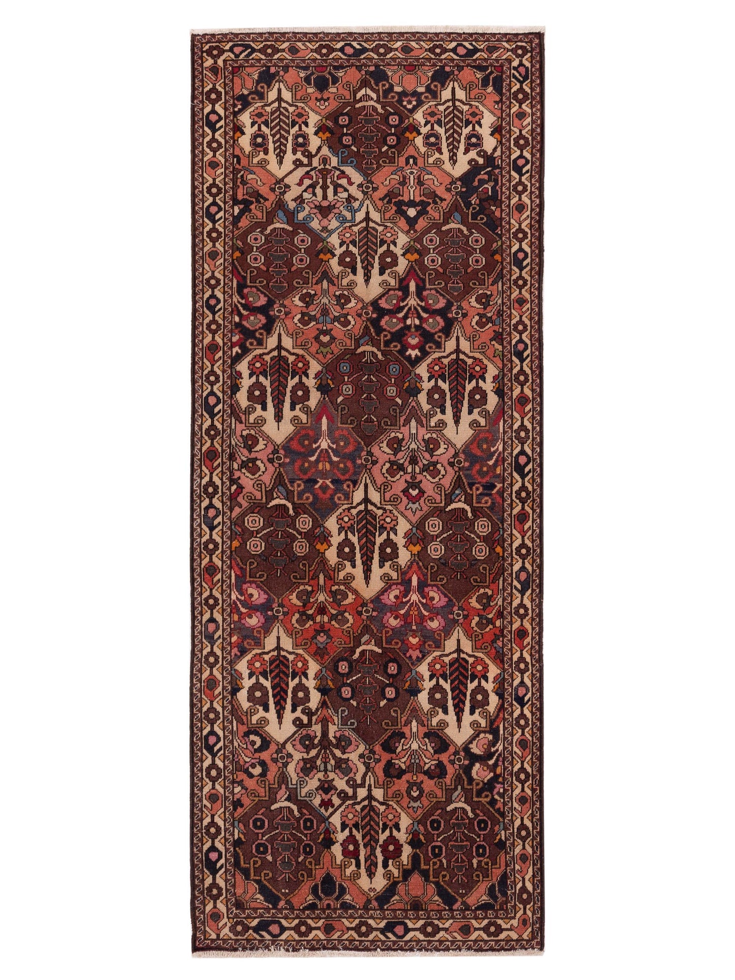 Pasha Persian  Multi  Transitional