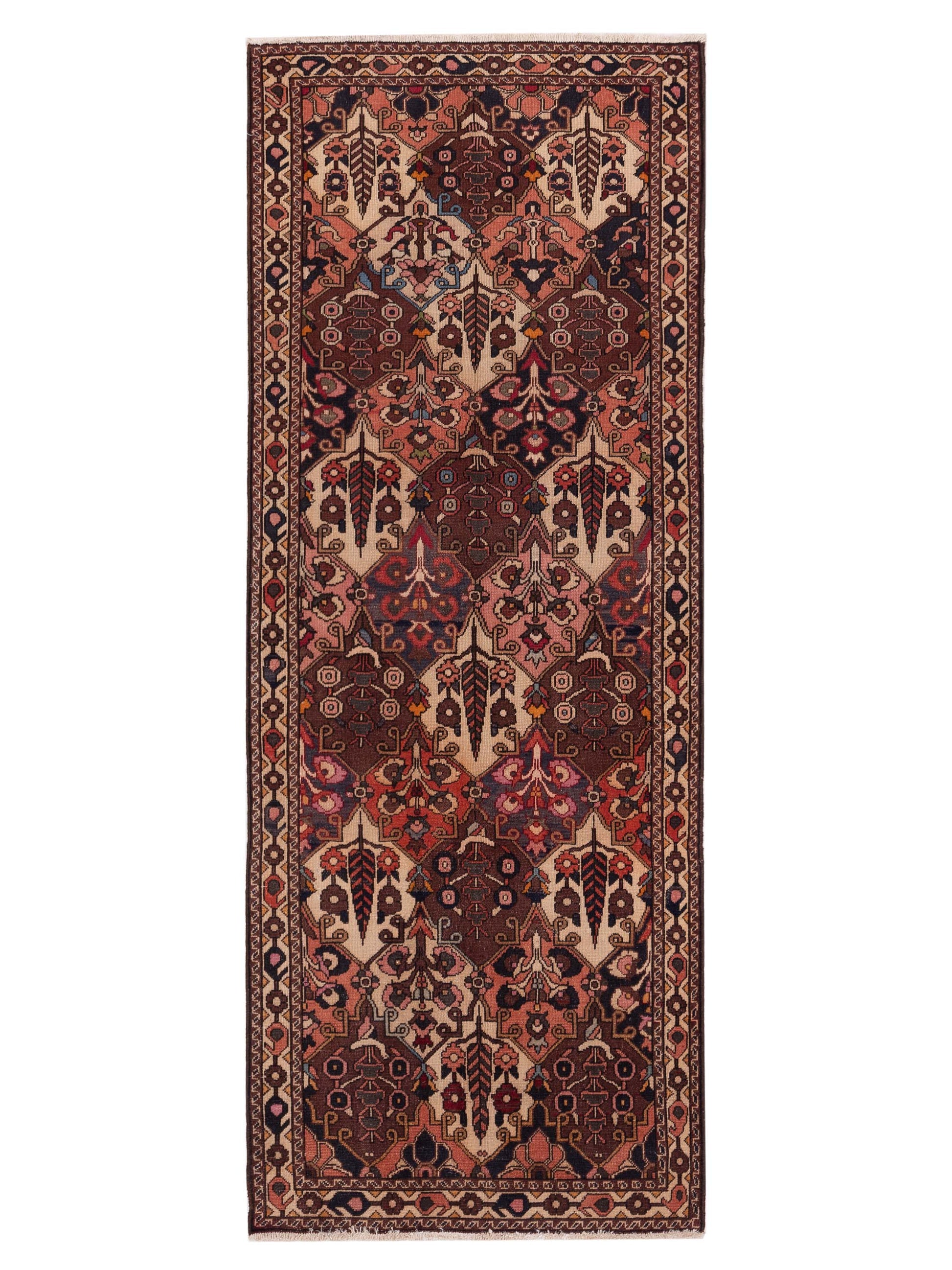 Pasha Persian  Multi  Transitional