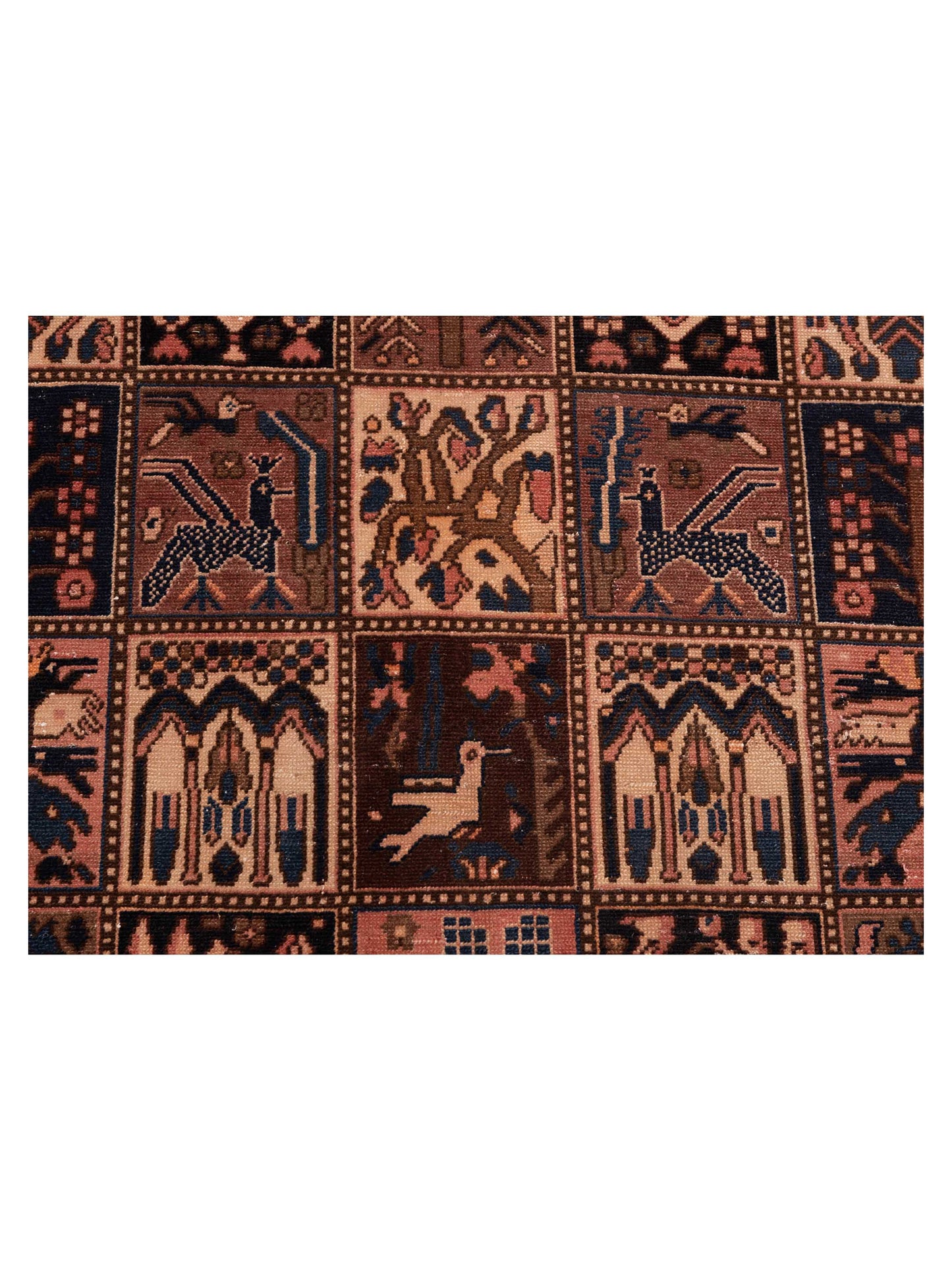 Persian 147645 Multi Multi 5.2x9.9 Hand Knotted Rug