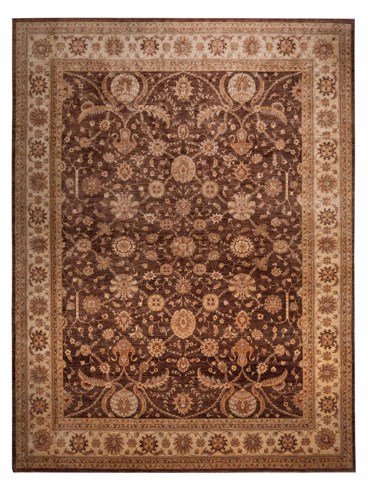 Pasha Sultan  Chocolate Ivory Traditional