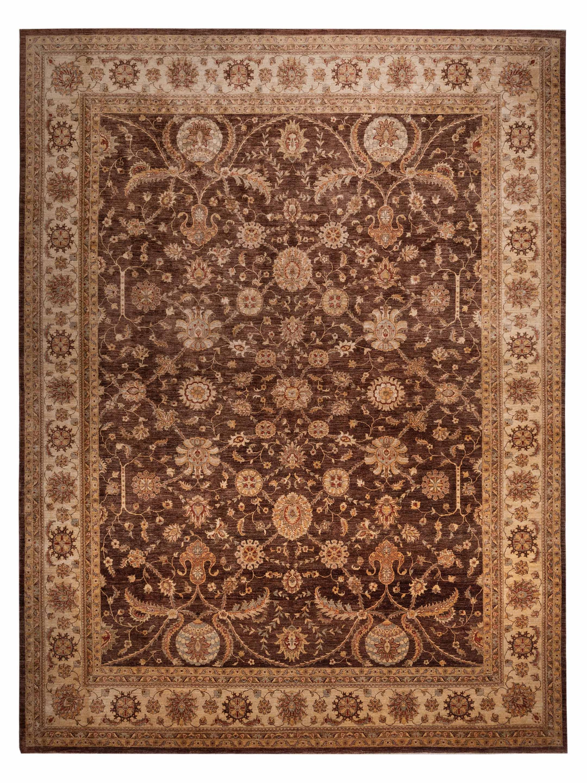 Pasha Sultan  Chocolate Ivory Traditional