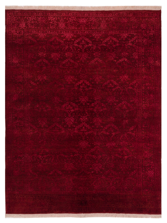 Pasha Defne  Red Red Transitional
