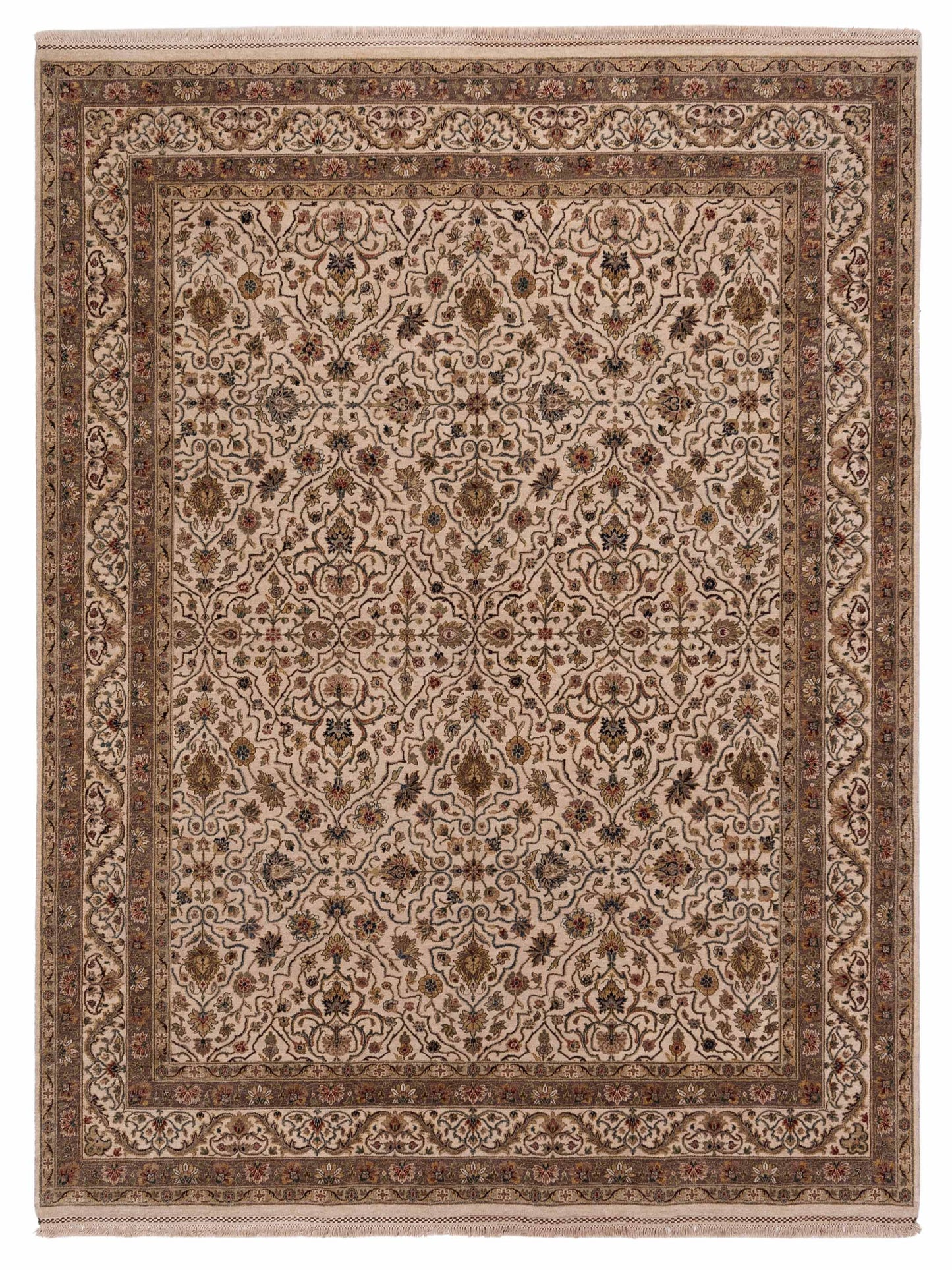 Rajpur Platinum  Ivory Ivory Traditional