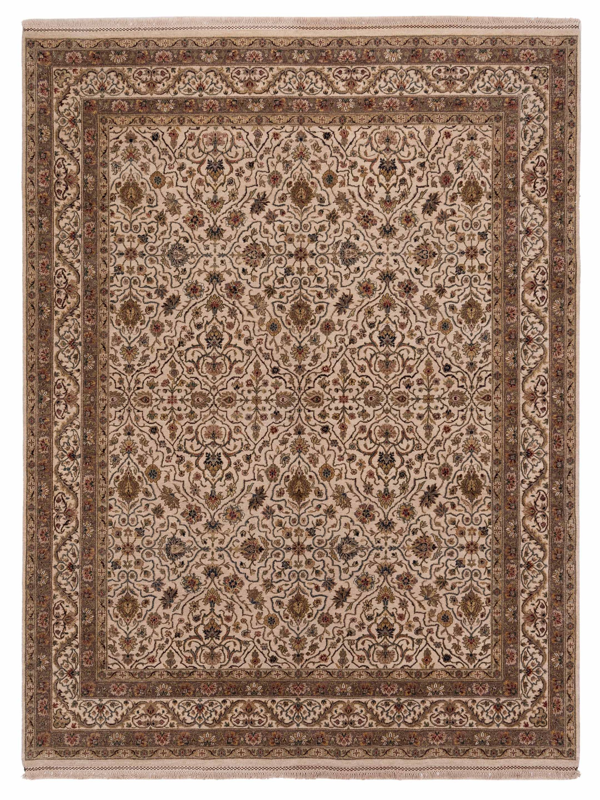 Rajpur Platinum  Ivory Ivory Traditional