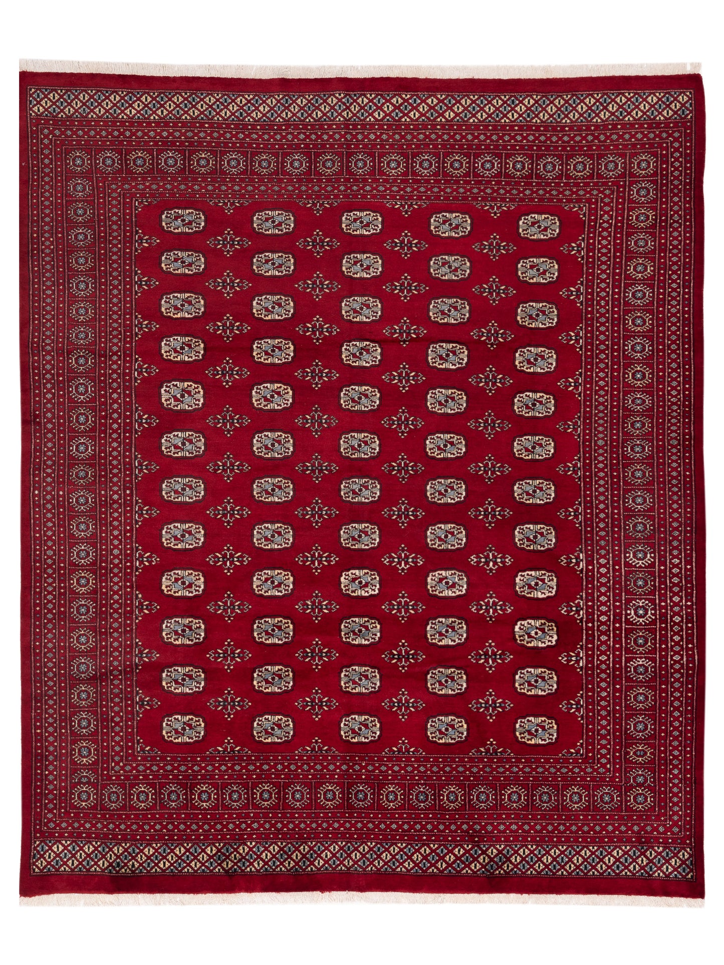 Nomad Bokhara  Red Red Traditional