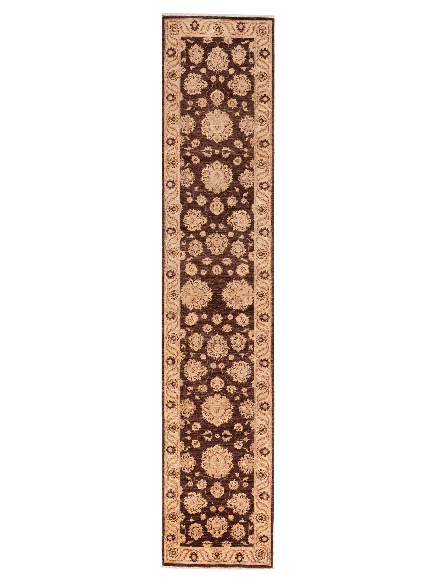 Pasha Sultan  Brown Ivory Traditional