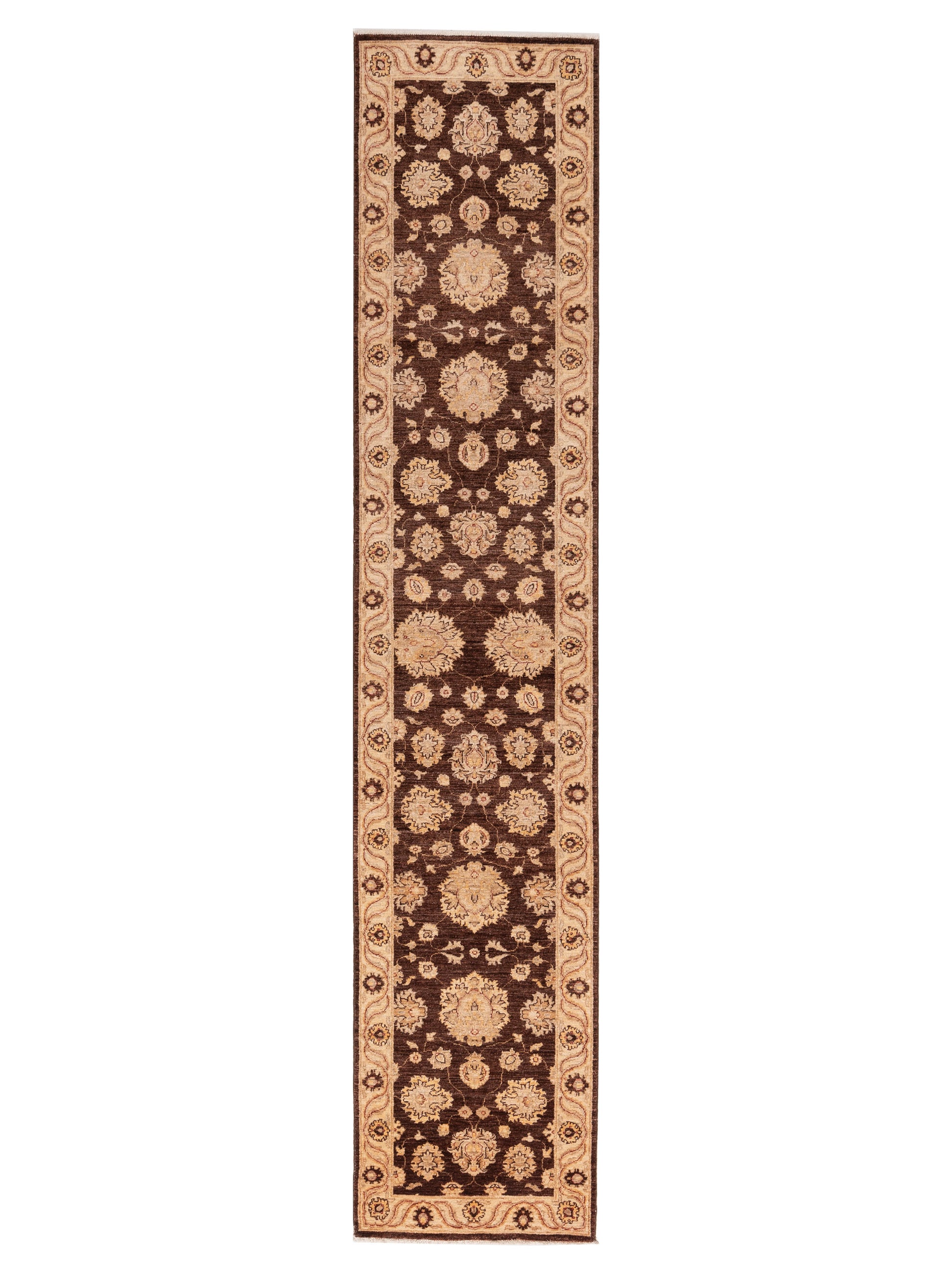 Pasha Sultan  Brown Ivory Traditional