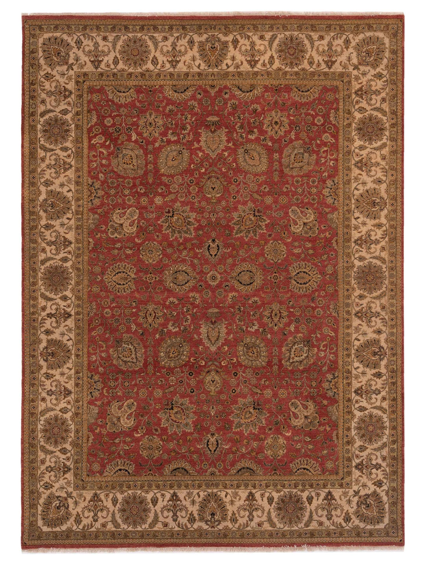 Rajpur Haji Jalili  Rust Ivory Transitional