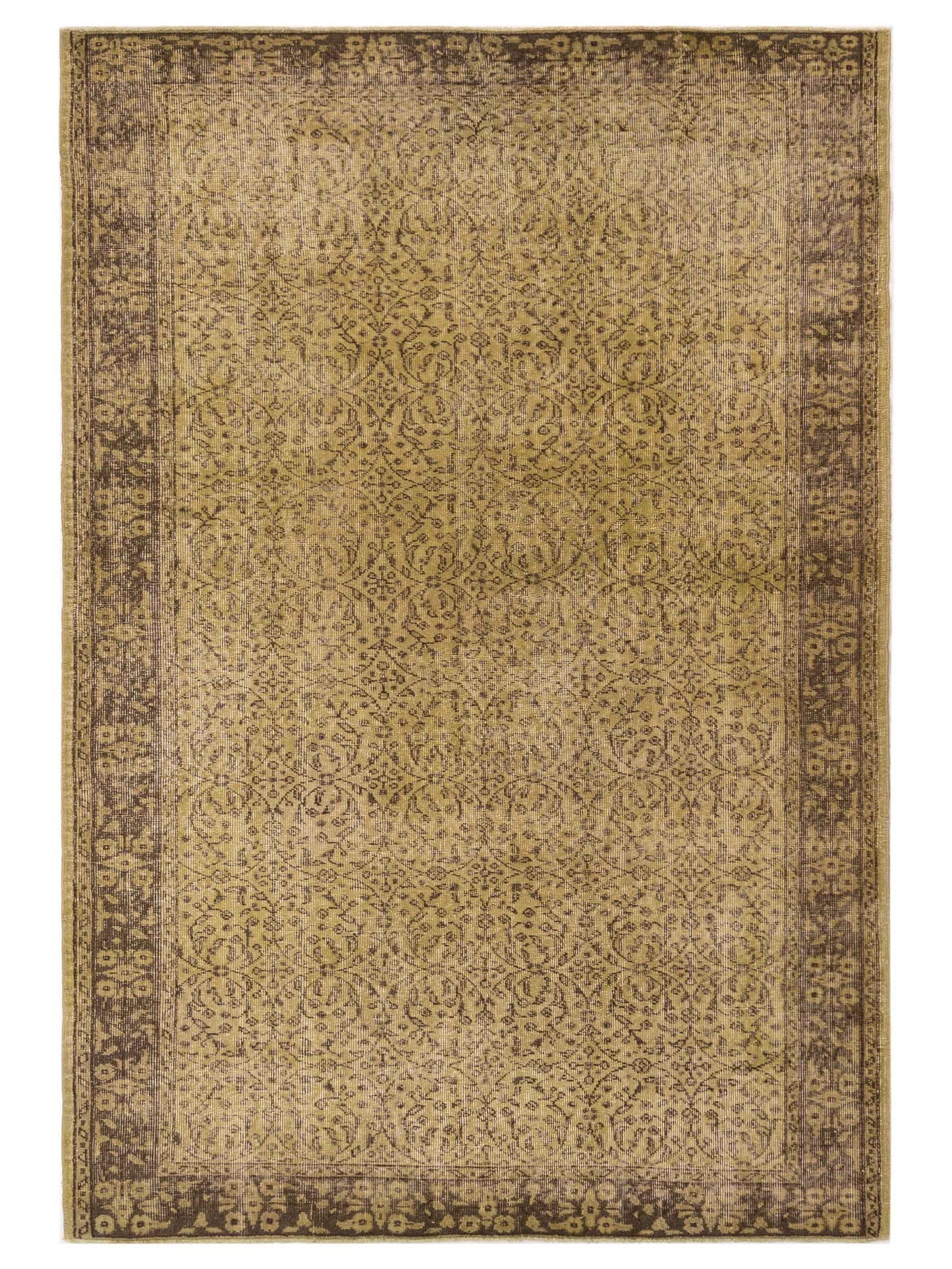 Pasha Vintage  Green Brown Transitional