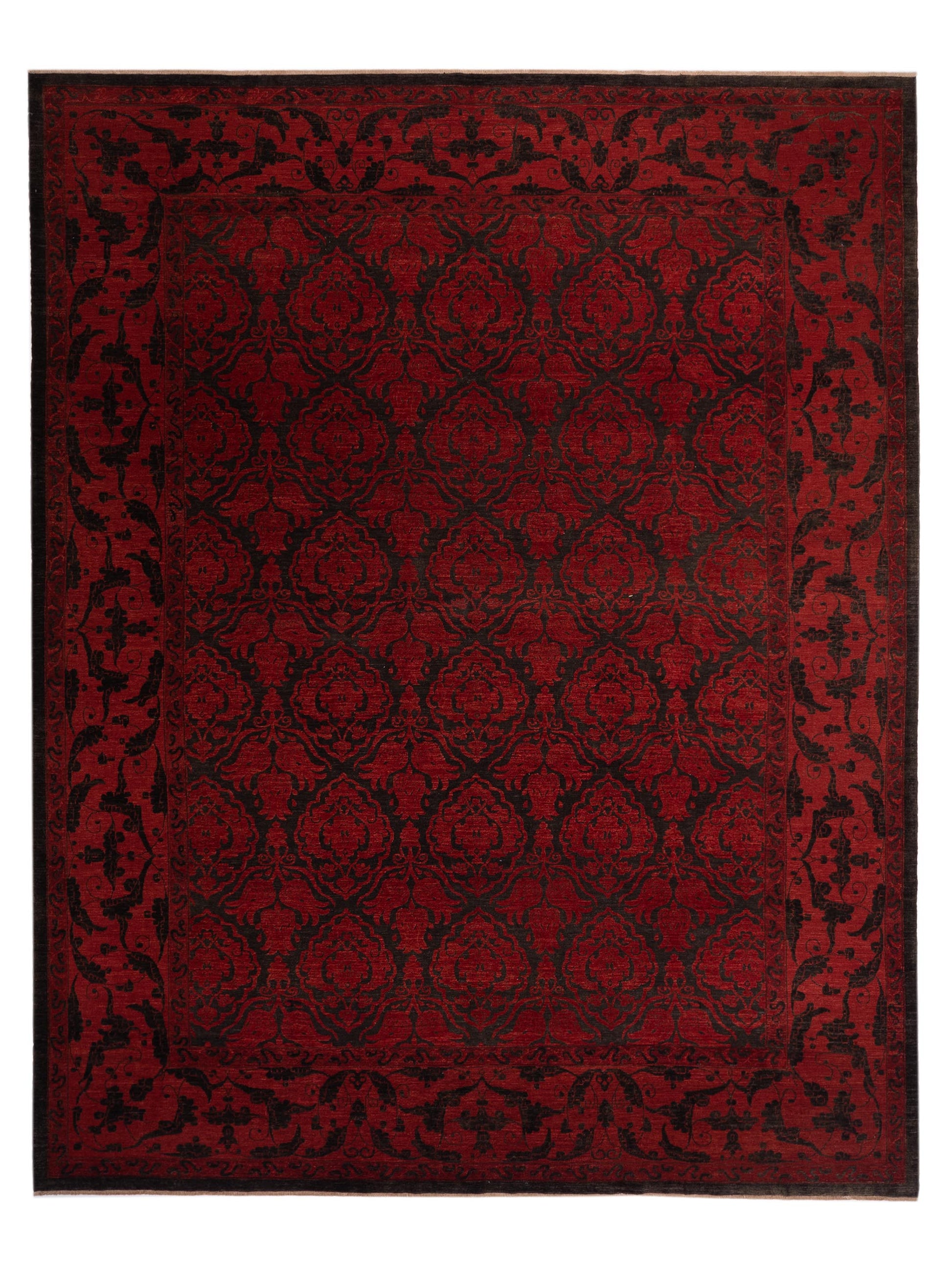 Pasha Defne  Black Red Transitional