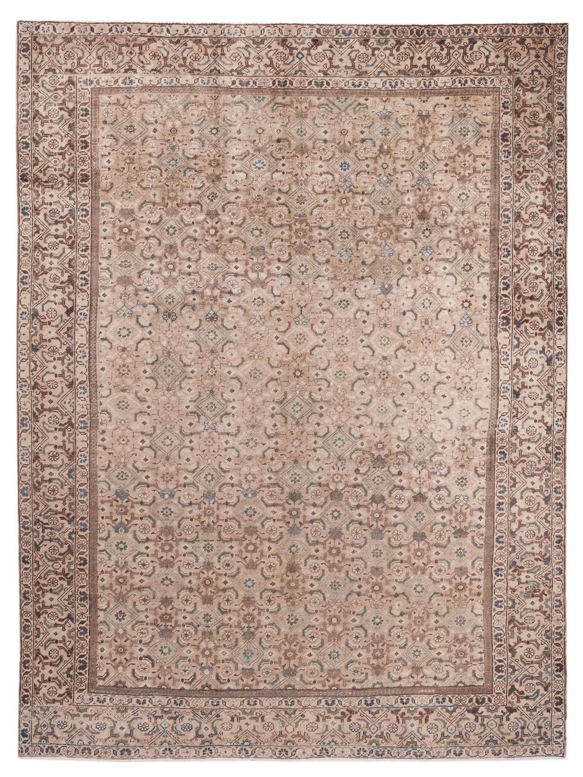 Pasha Persian  Brown Brown Traditional