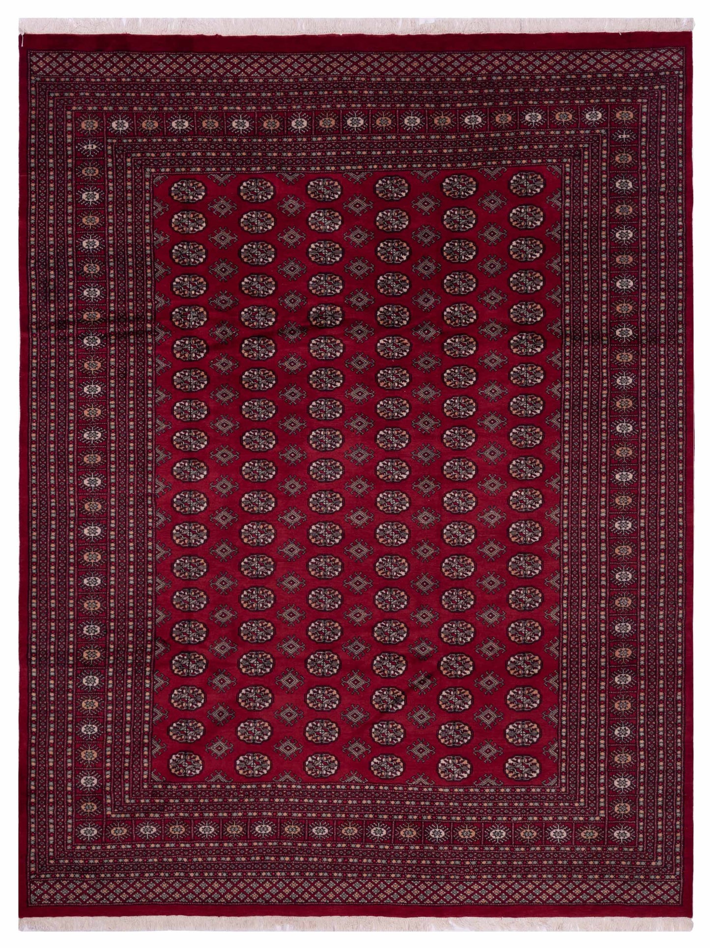 Nomad Bokhara  Red Red Traditional