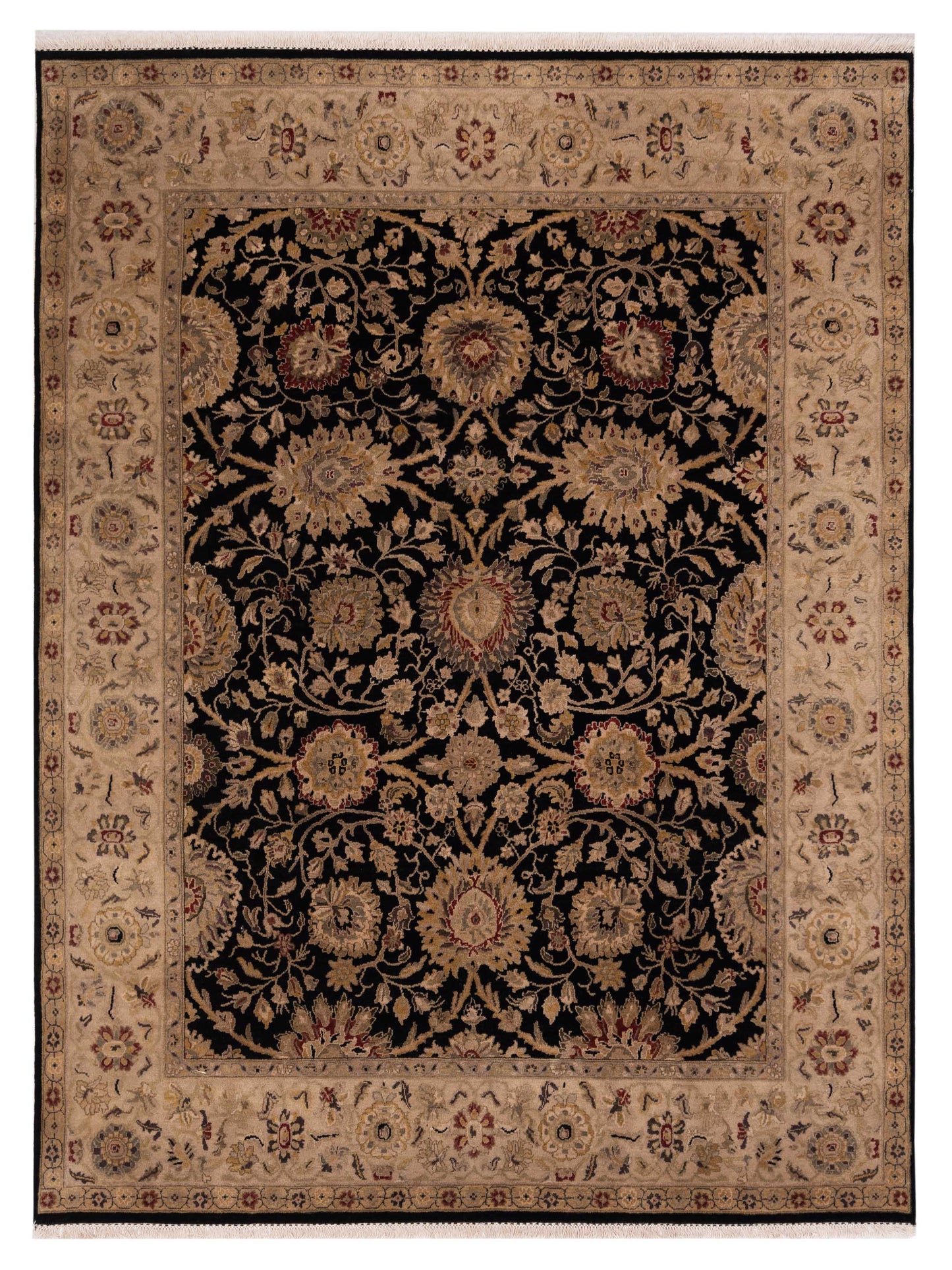 Rajpur Crown  Black Ivory Transitional