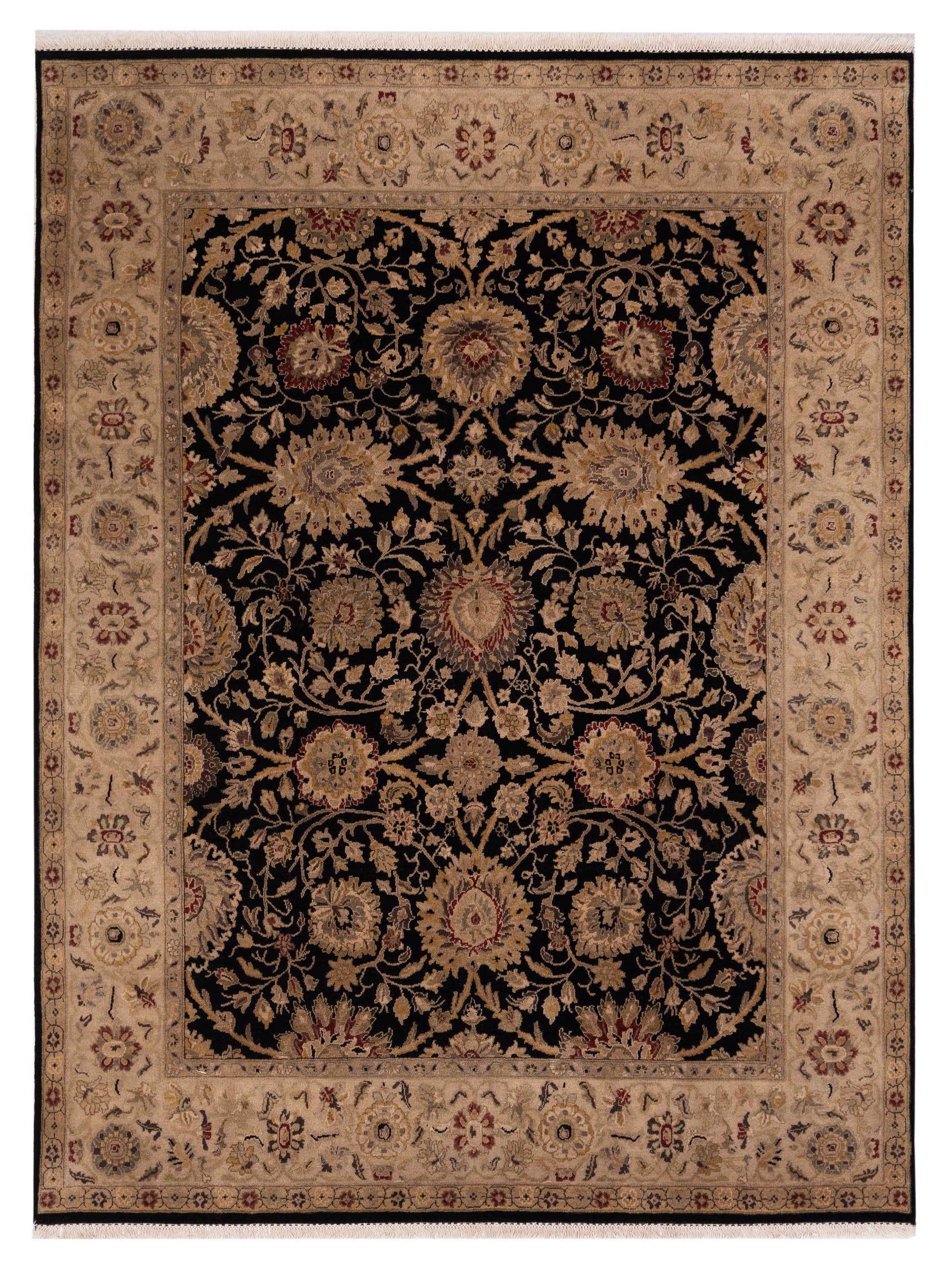 Rajpur Crown  Black Ivory Transitional
