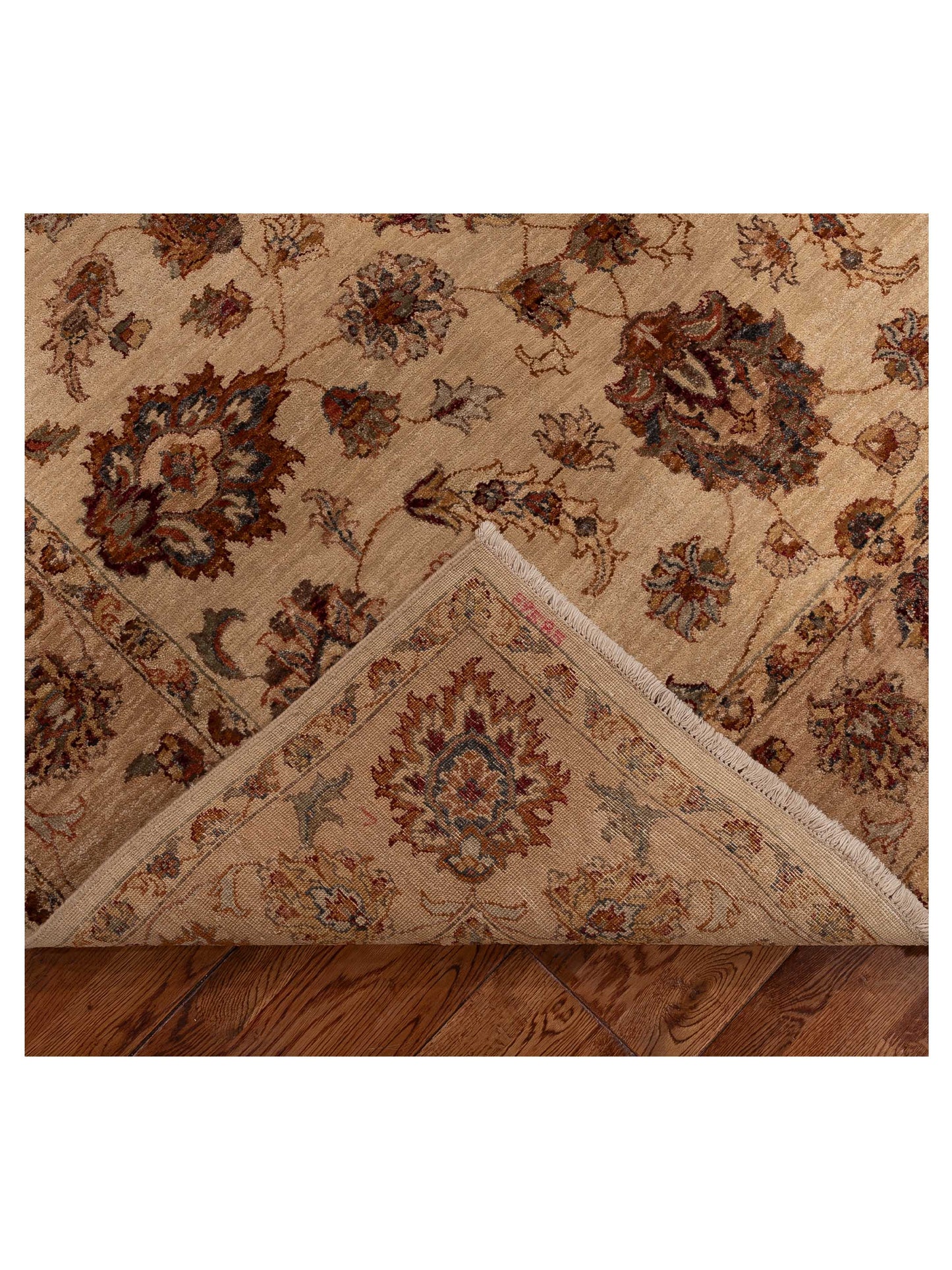 Ghazani 89585 Ivory Gold 6x9 Hand Knotted Rug