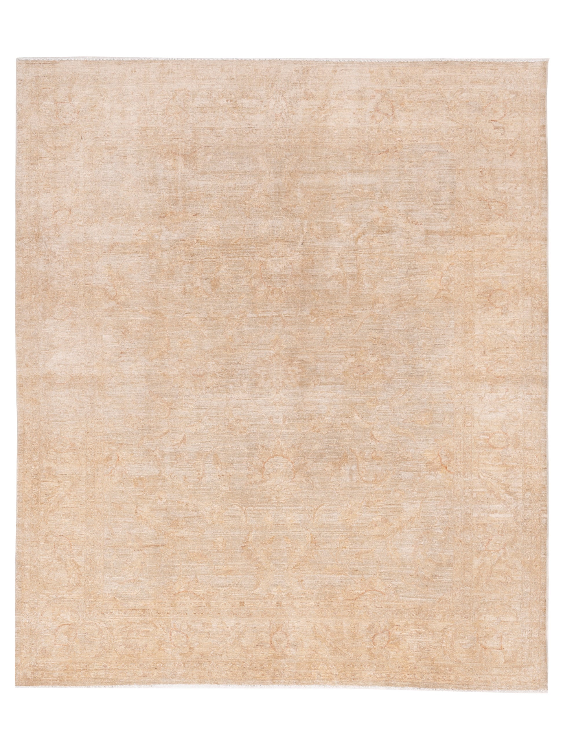 Pasha Sultan  Ivory Ivory Traditional