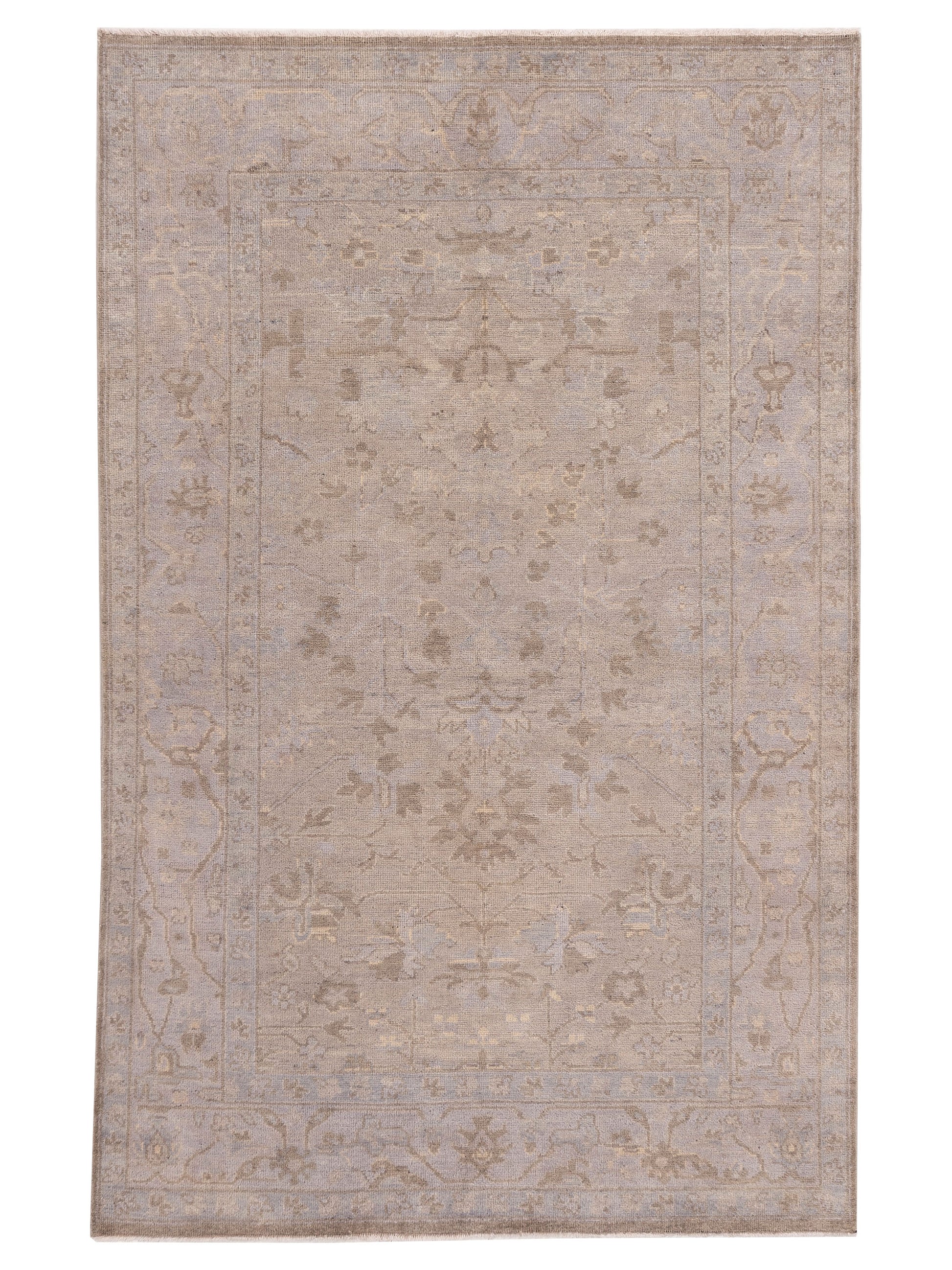 Rajpur Stella  Gray  Transitional