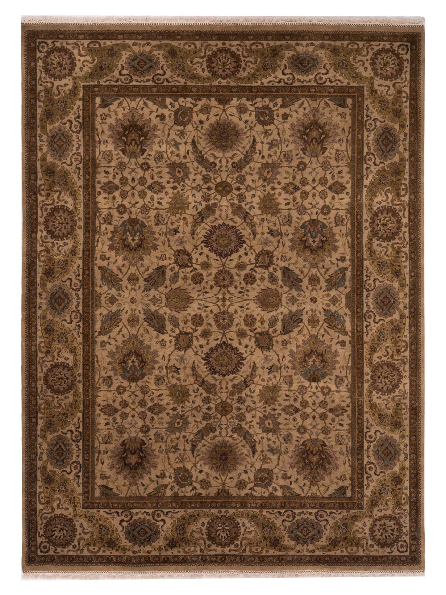 Rajpur Crown  Cream Ivory Transitional
