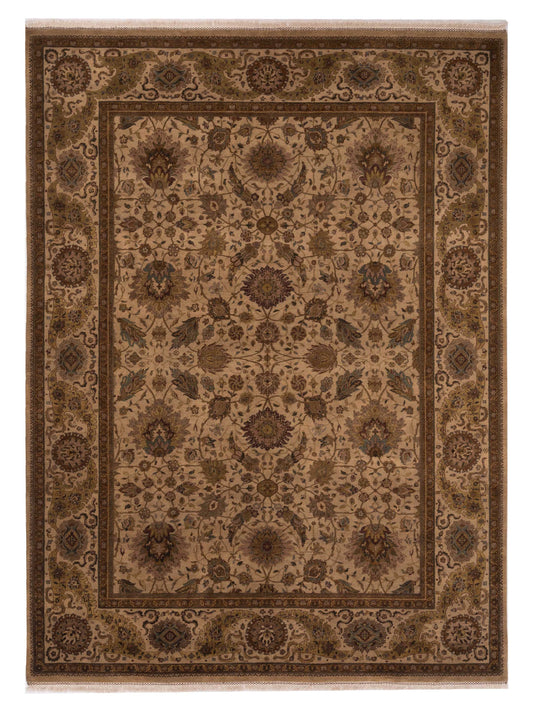 Rajpur Crown  Cream Ivory Transitional