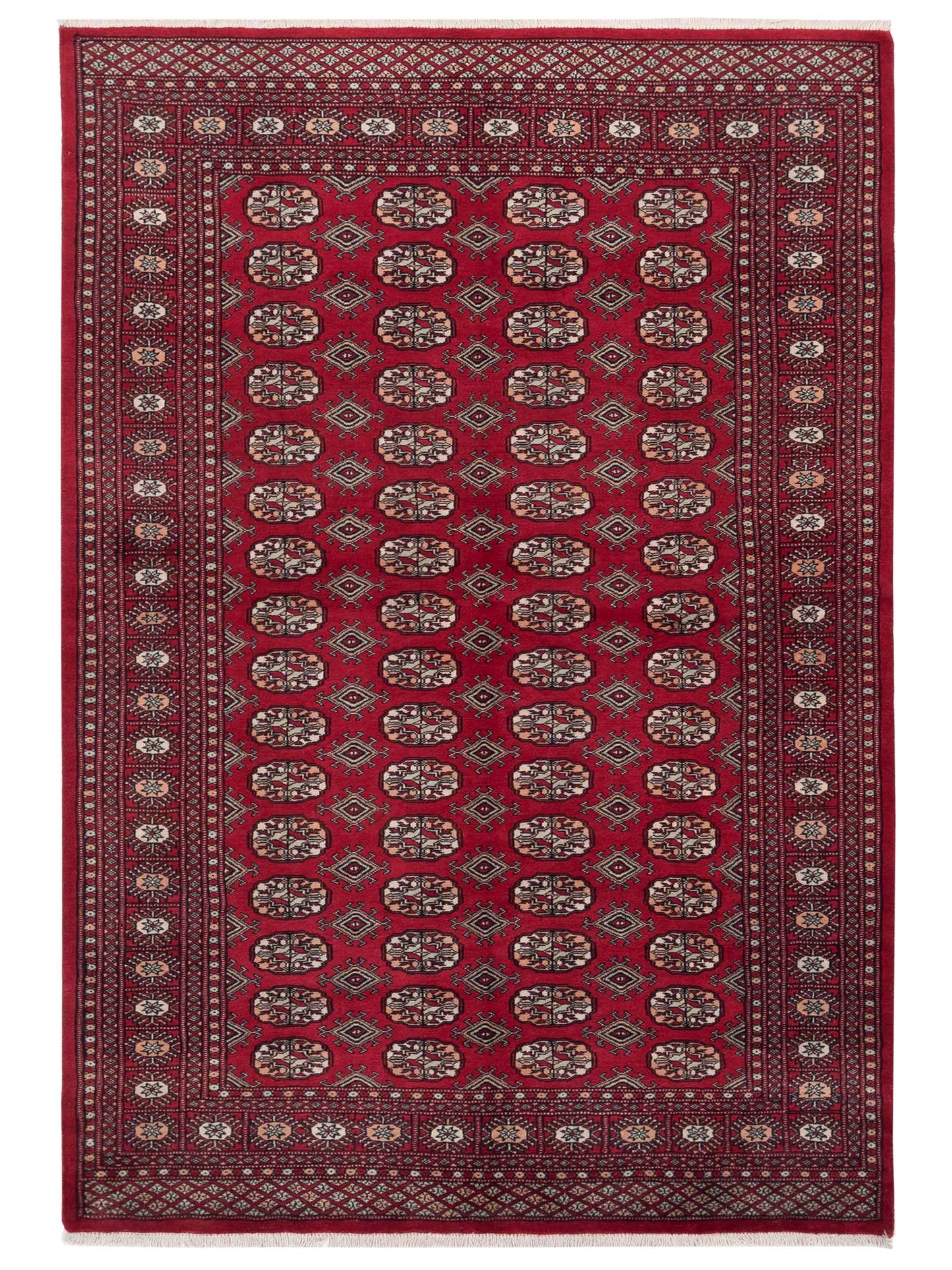 Nomad Bokhara  Red Red Traditional