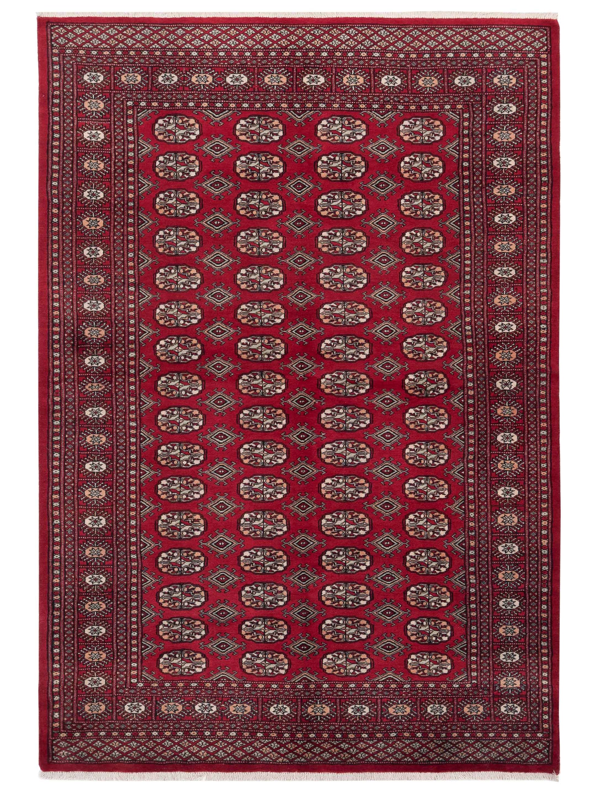Nomad Bokhara  Red Red Traditional