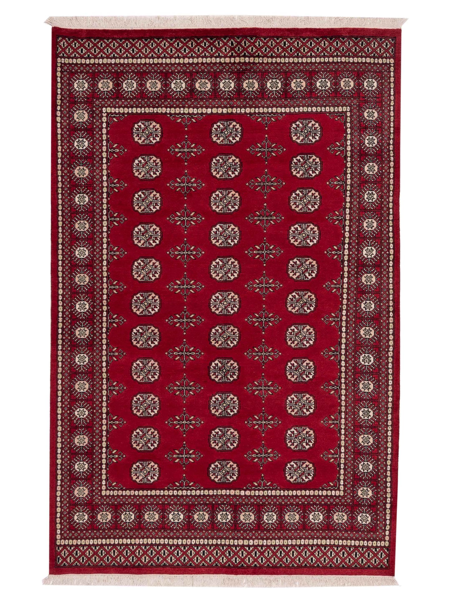 Nomad Bokhara  Red Red Traditional