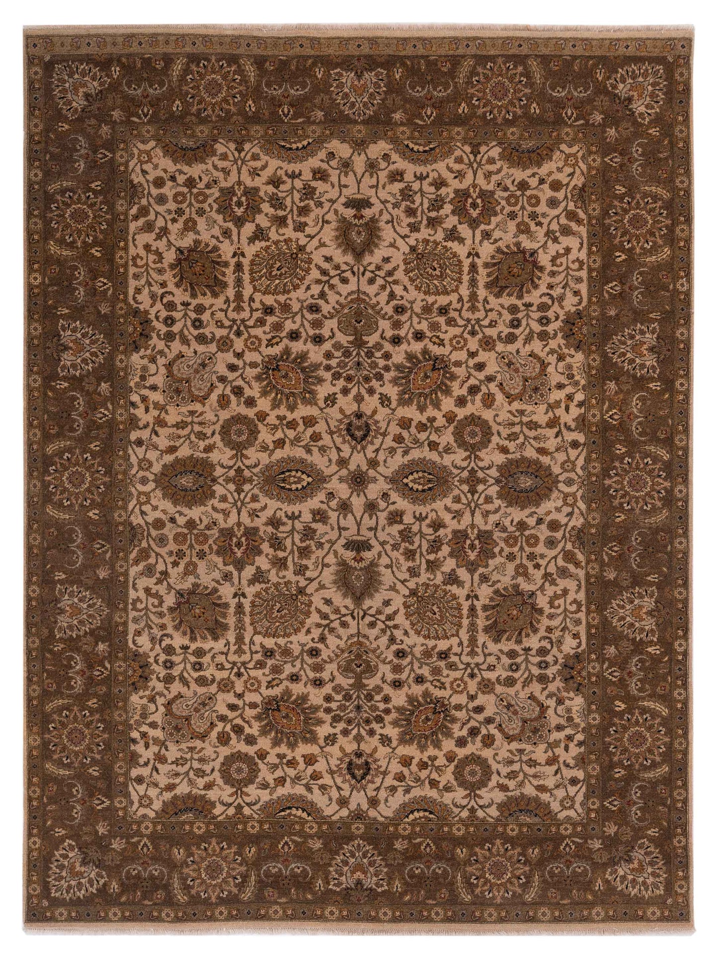 Rajpur Haji Jalili  Ivory Brown Transitional