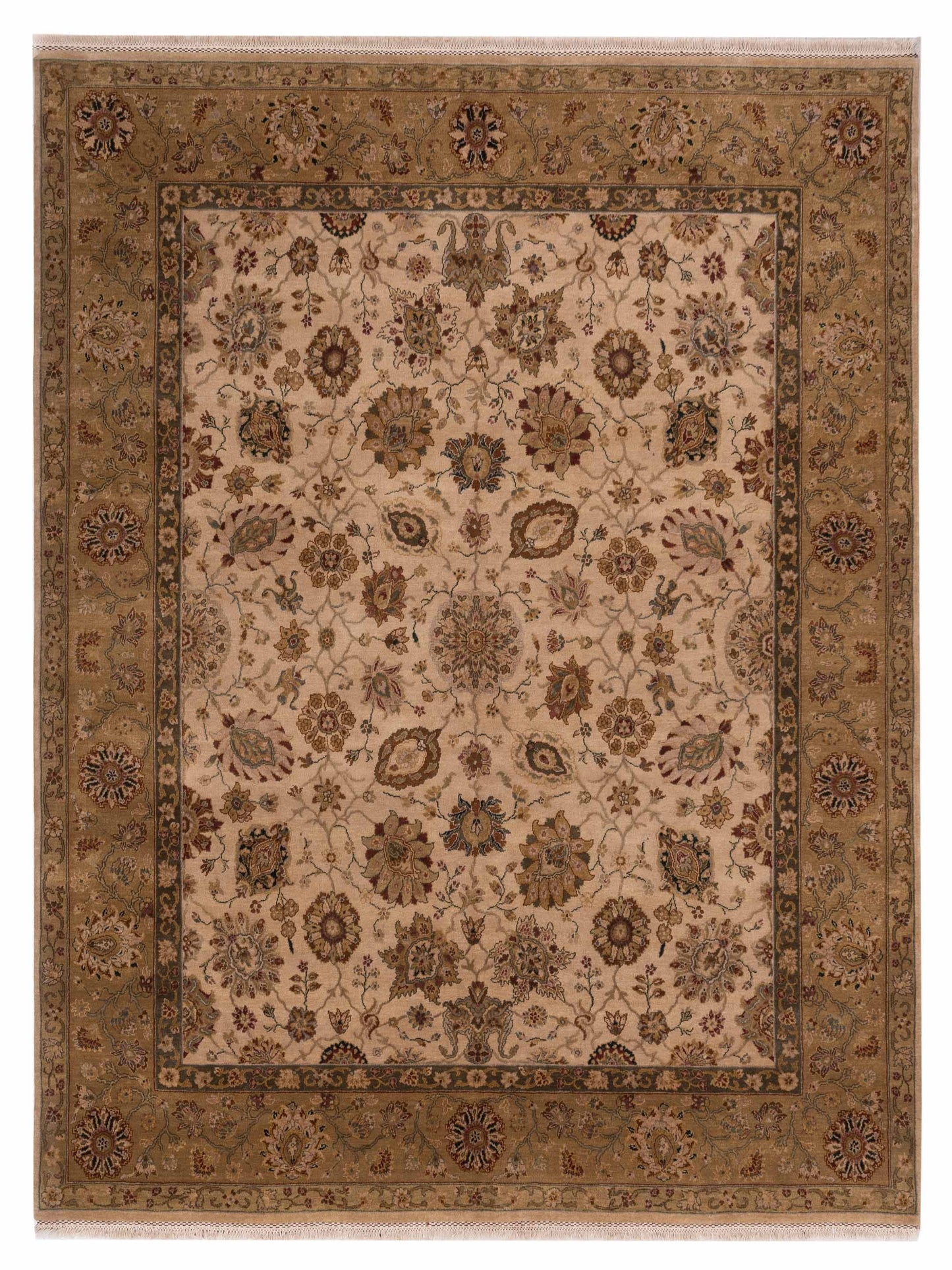 Rajpur Crown  Ivory Gold Transitional