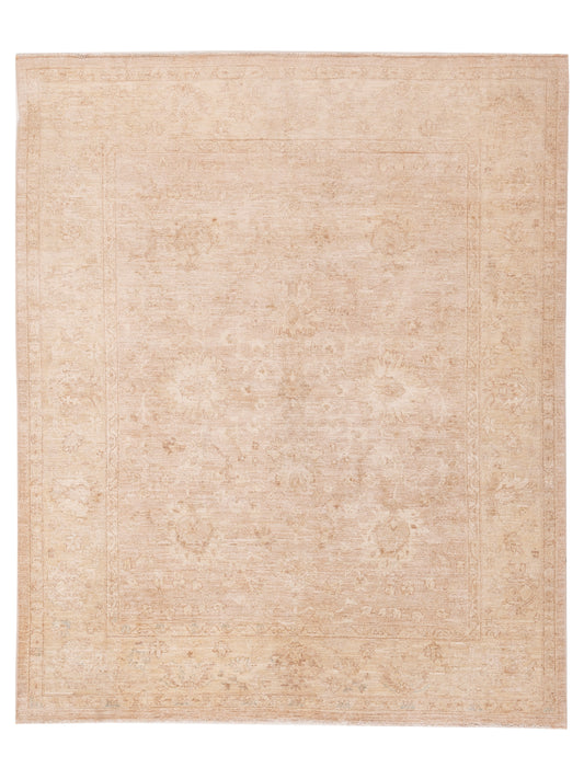 Nomad Laila  Brown Ivory Transitional