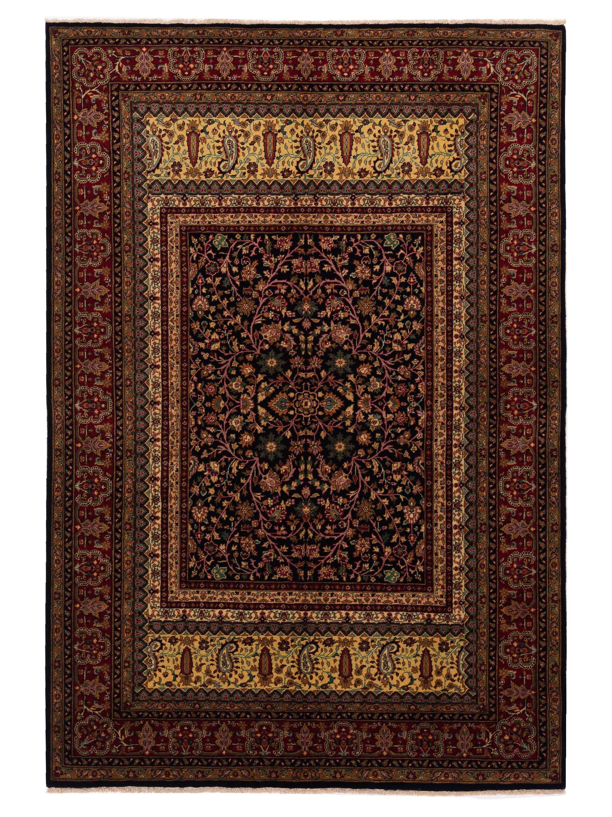 Rajpur Sivas  Black Red Traditional