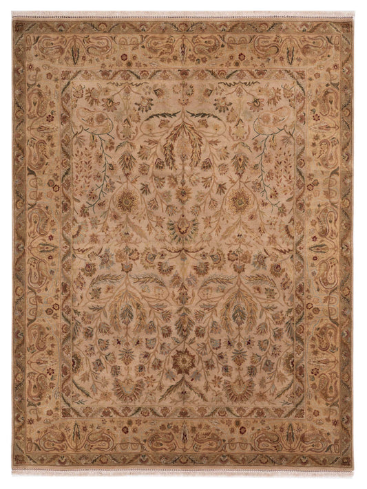 Rajpur Crown  Camel Camel Transitional