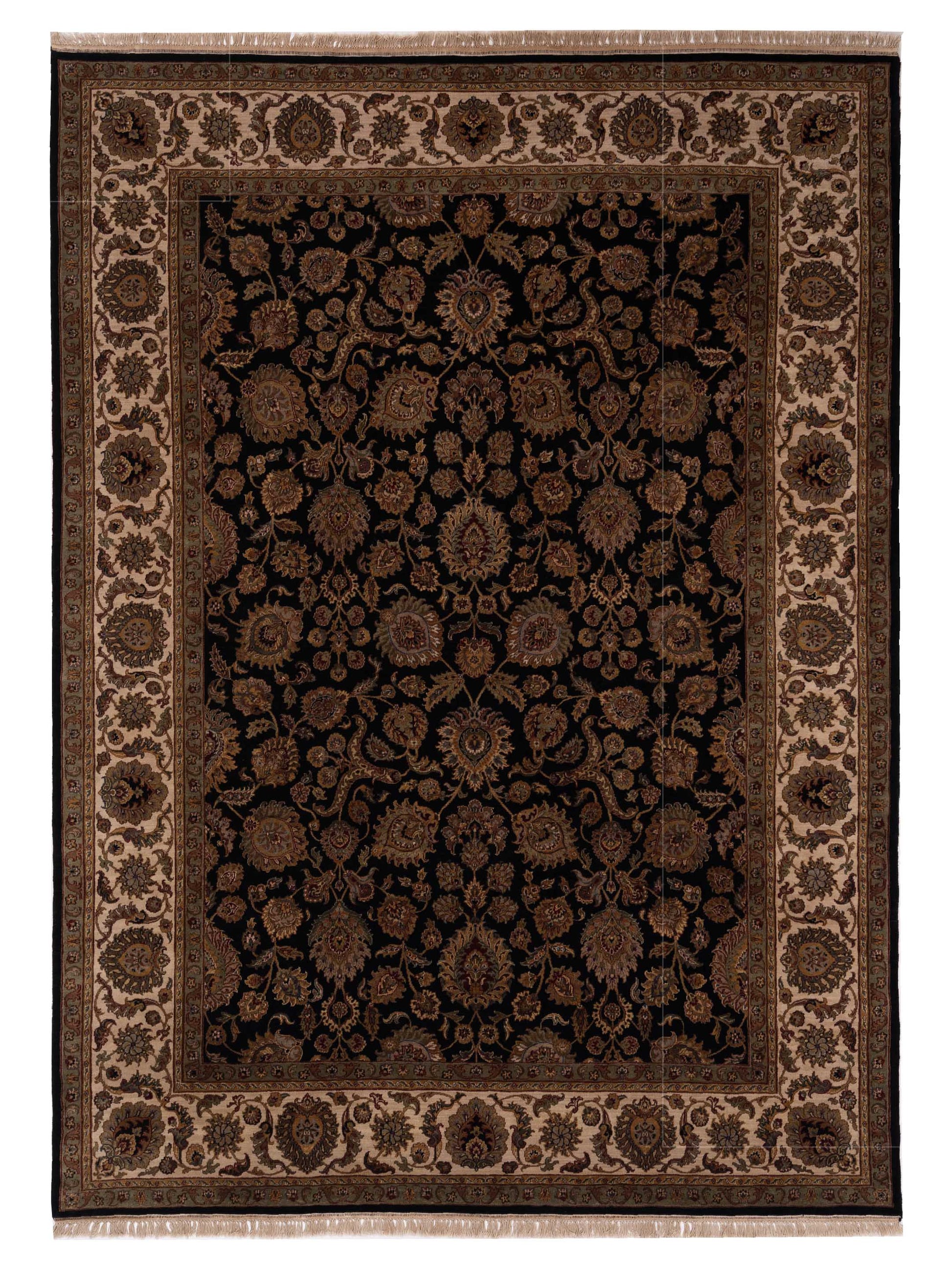 Rajpur Crown  Black Ivory Transitional
