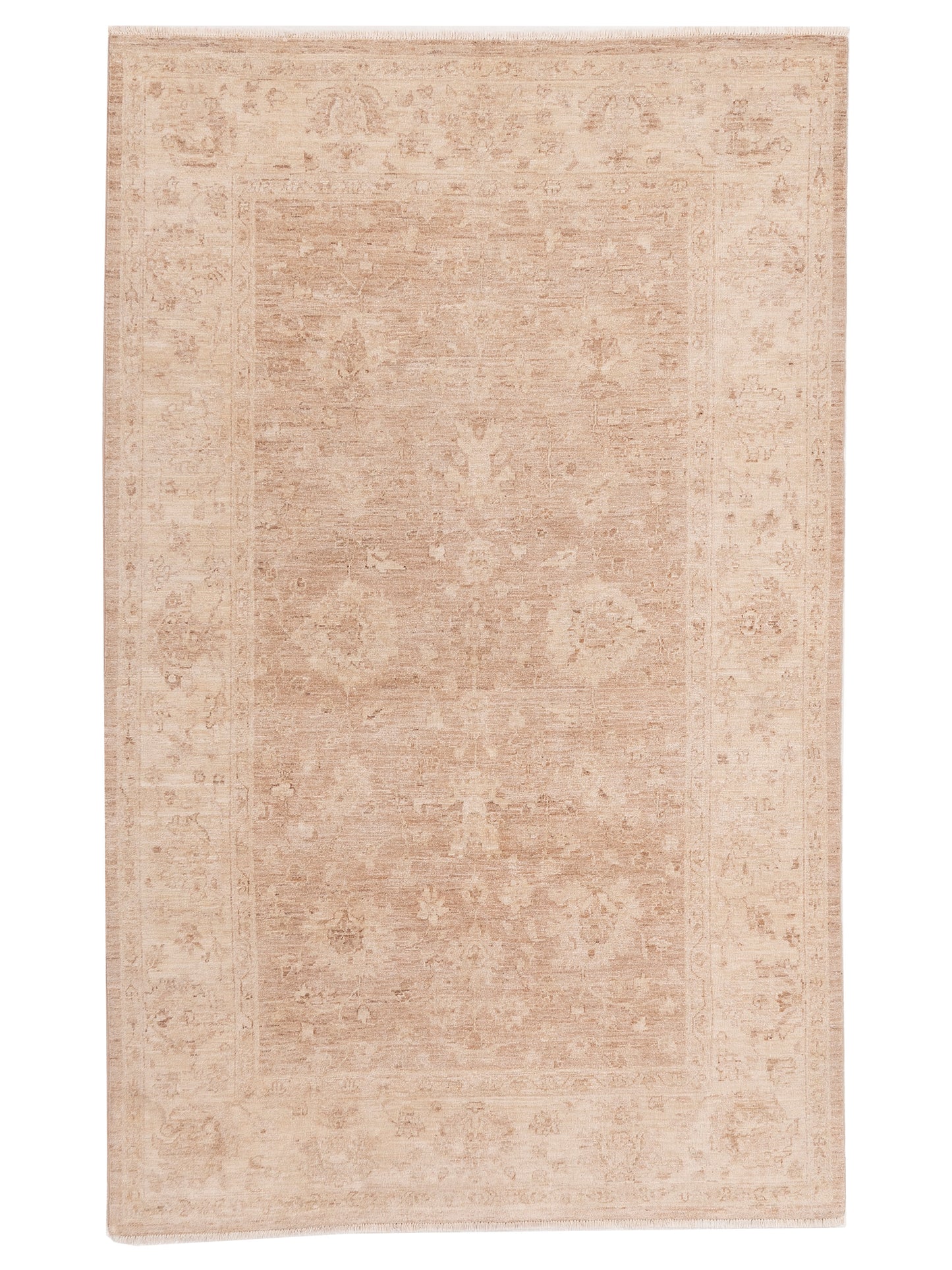 Nomad Laila  Brown Ivory Transitional