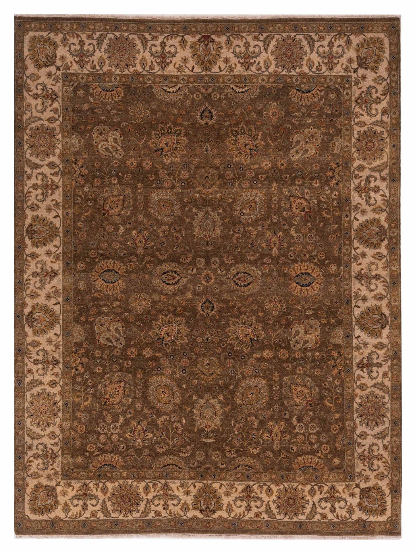 Rajpur Haji Jalili  Brown Ivory Transitional