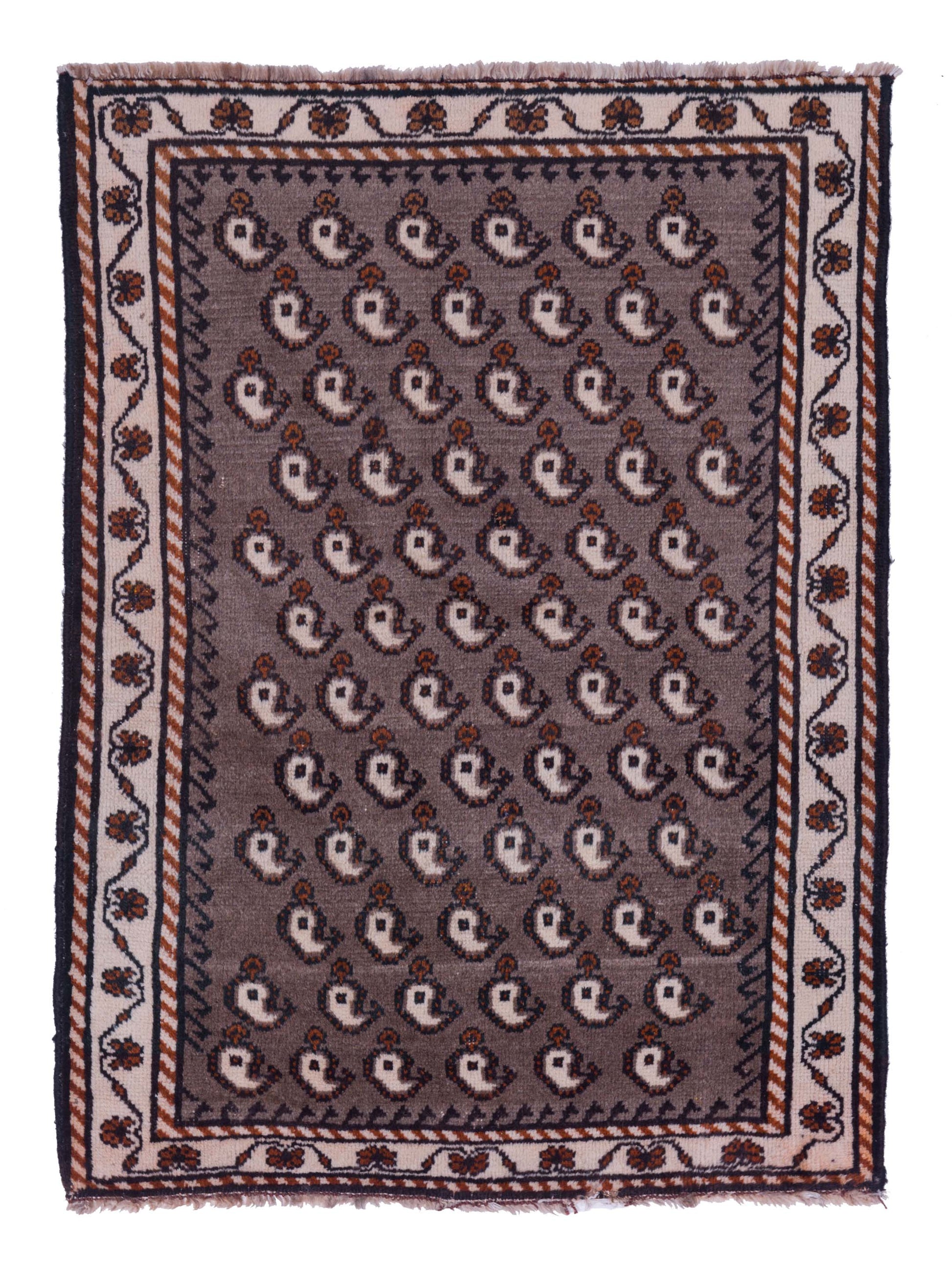 Pasha Persian  Brown Ivory Traditional