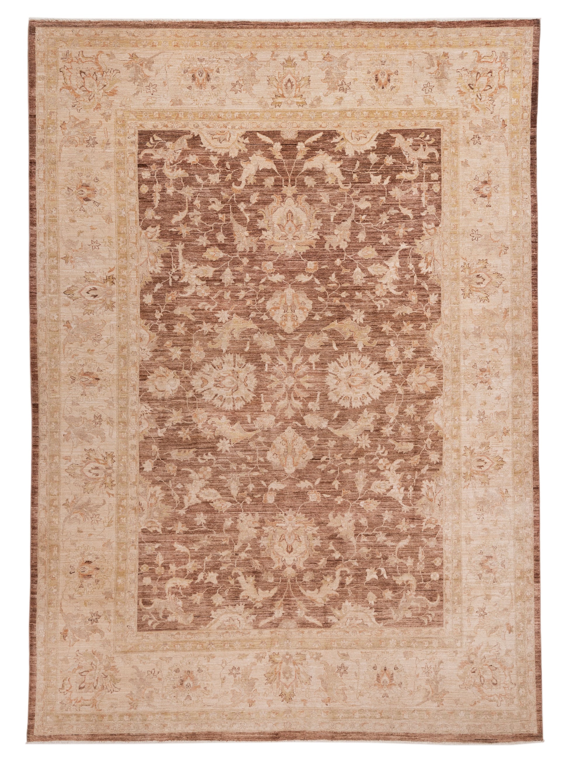 Pasha Sultan  Brown Ivory Transitional