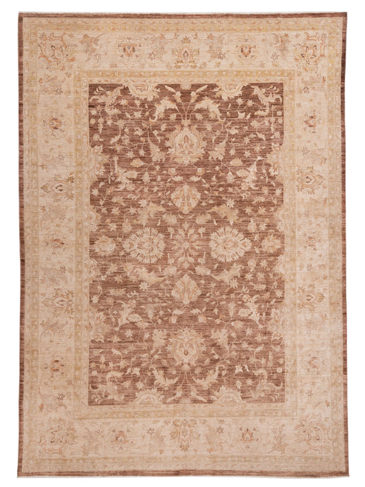 Pasha Sultan  Brown Ivory Transitional
