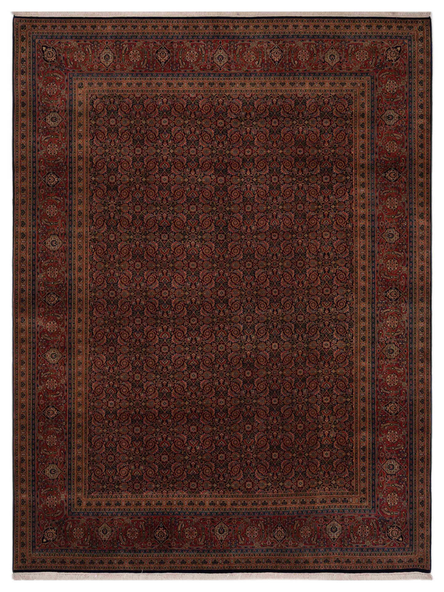 Rajpur Sivas  Navy Orange Traditional