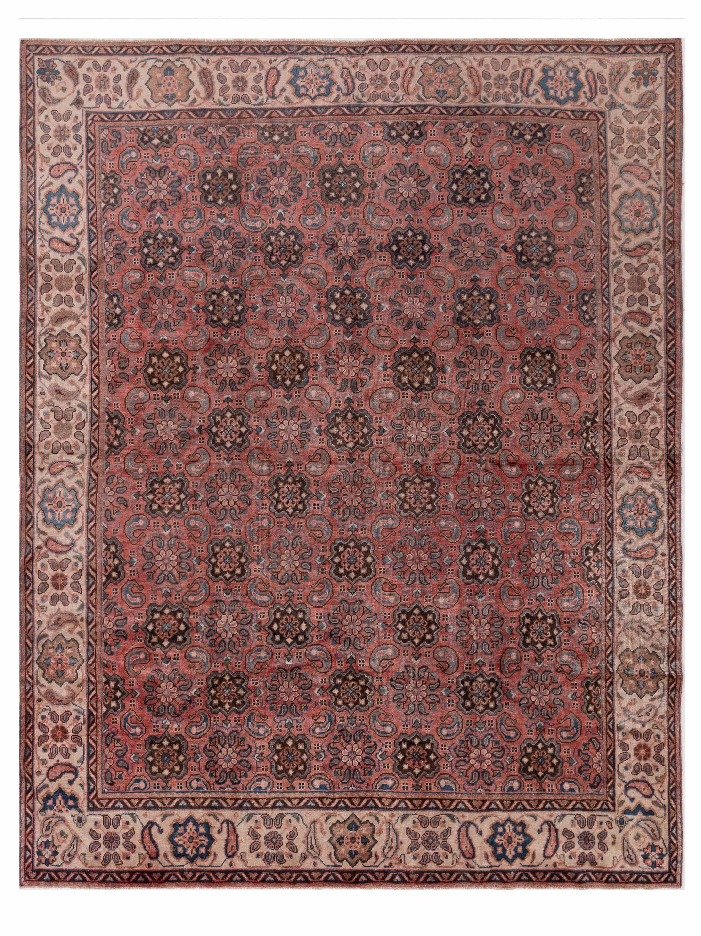 Pasha Persian  Pink Ivory Traditional