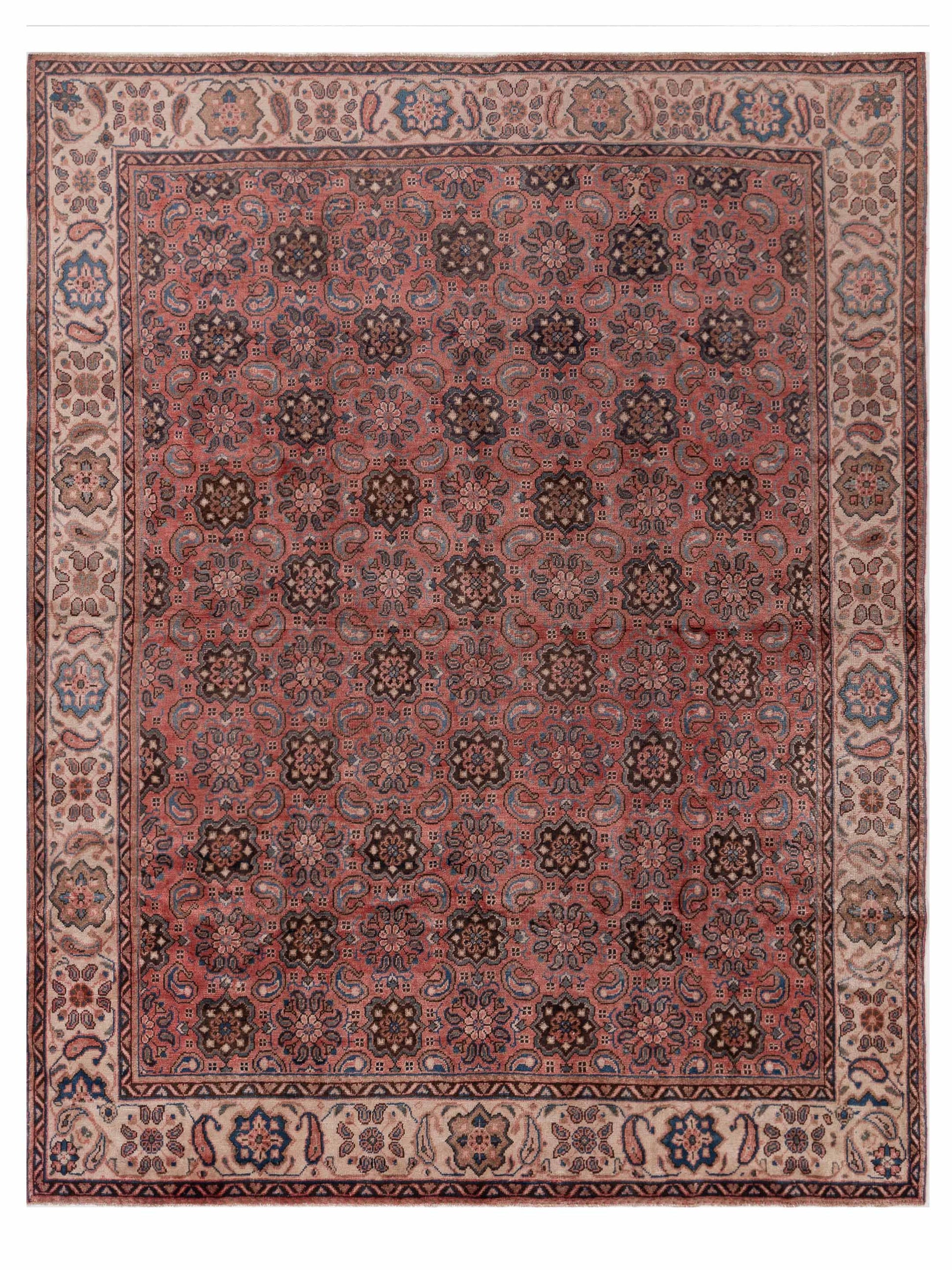 Pasha Persian  Pink Ivory Traditional
